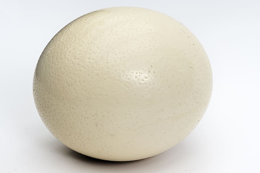 Large egg