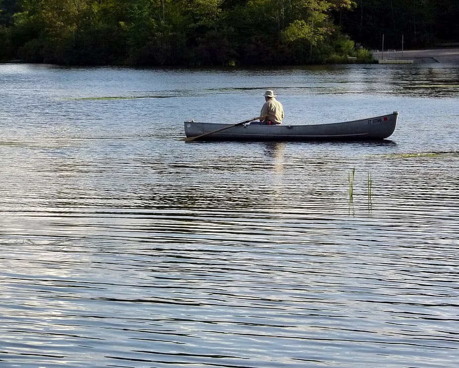 Rowing Fish