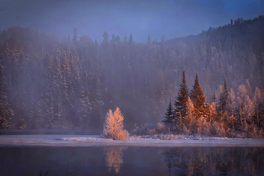 HD Wallpaper Trees Covered With Fogs Winter Landscape Snow Mountain Cold Wallpaper Flare