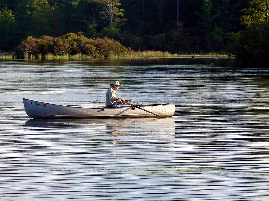 Rowing Fish