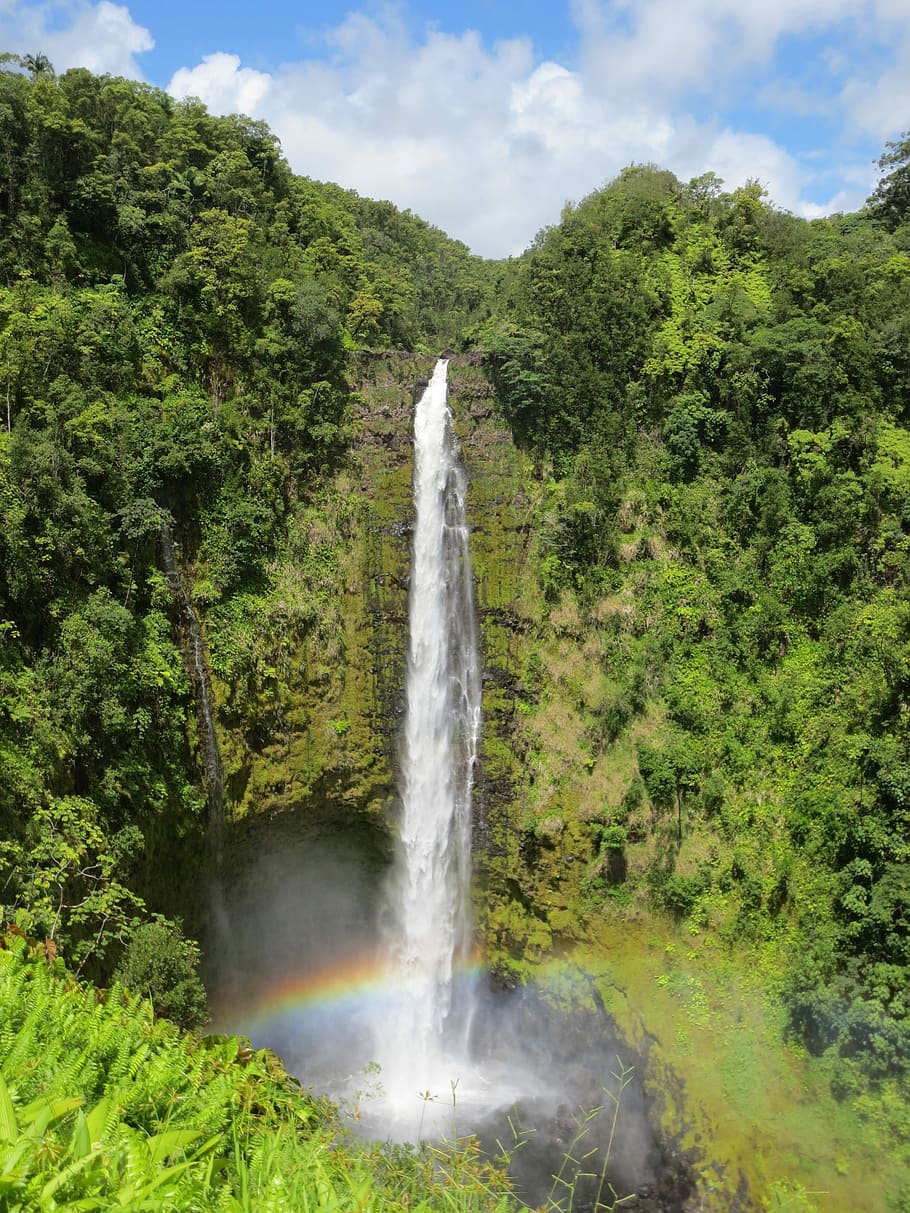 Hd Wallpaper Waterfalls Hawaii Akaka Falls Falls Park Paradise