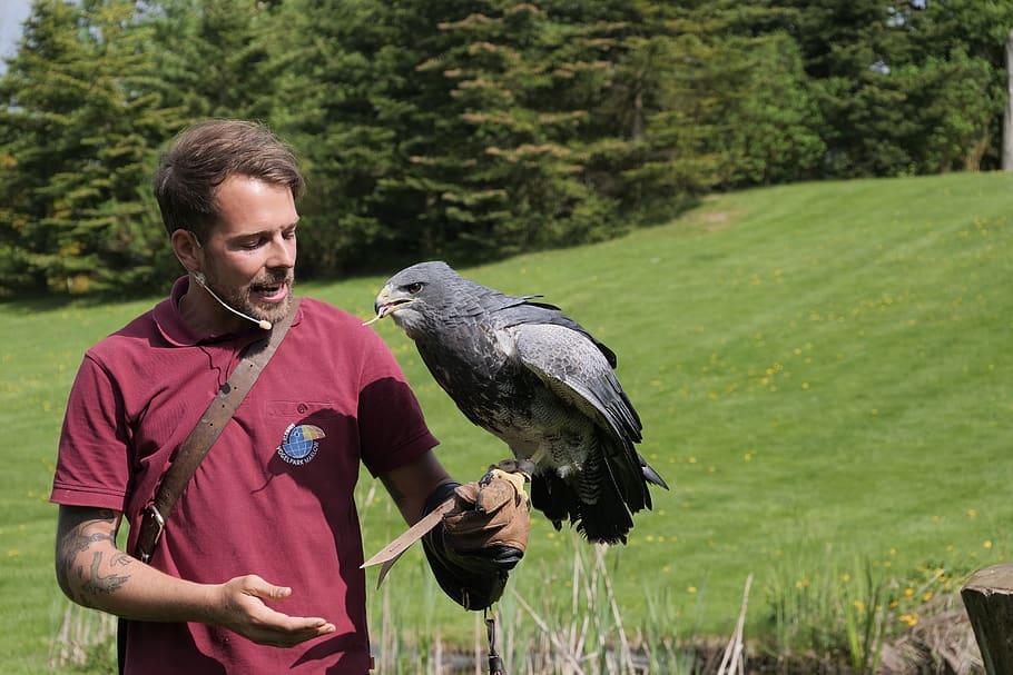 Marlow Bird Park