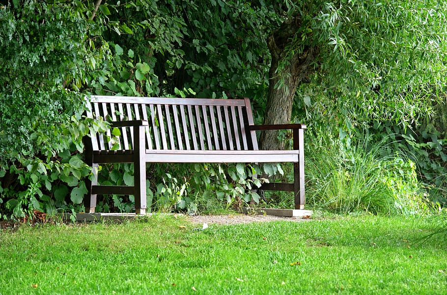 Hd Wallpaper Bench Bank Seat Trees Nature Green Out Rest