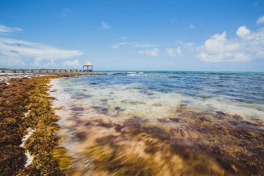 Hd Wallpaper Brown Wooden Pier With Gazebo On Beach Shore Time Lapse