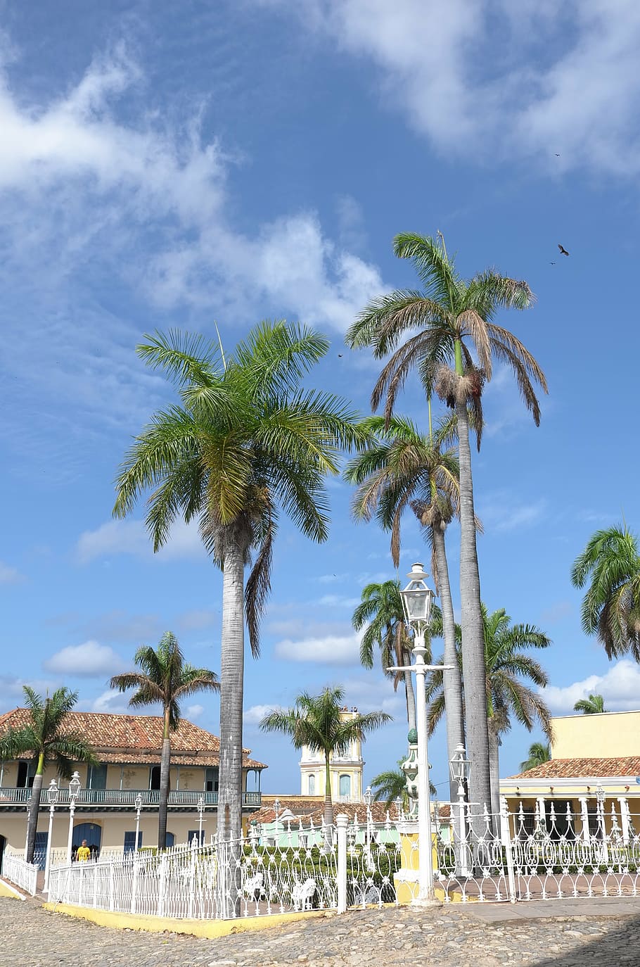 Hd Wallpaper Cuba Trinidad Palms Tree Palm Tree Tropical Climate