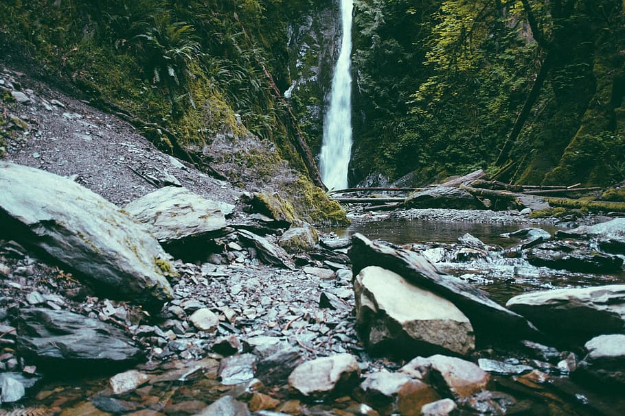 HD Wallpaper Landscape Photography Of River And Trees Landscape Photo