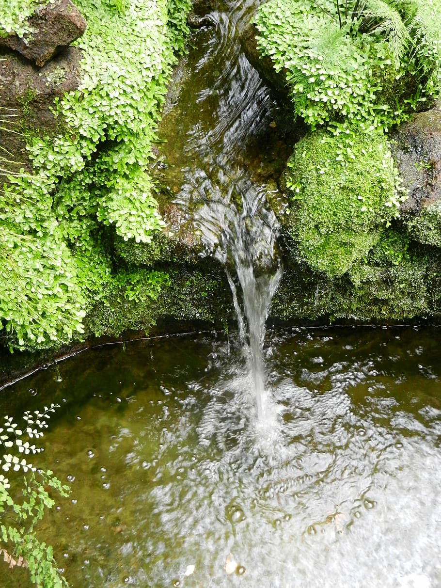 HD Wallpaper Water Waterfall River Liquid Swim Nature Moisture