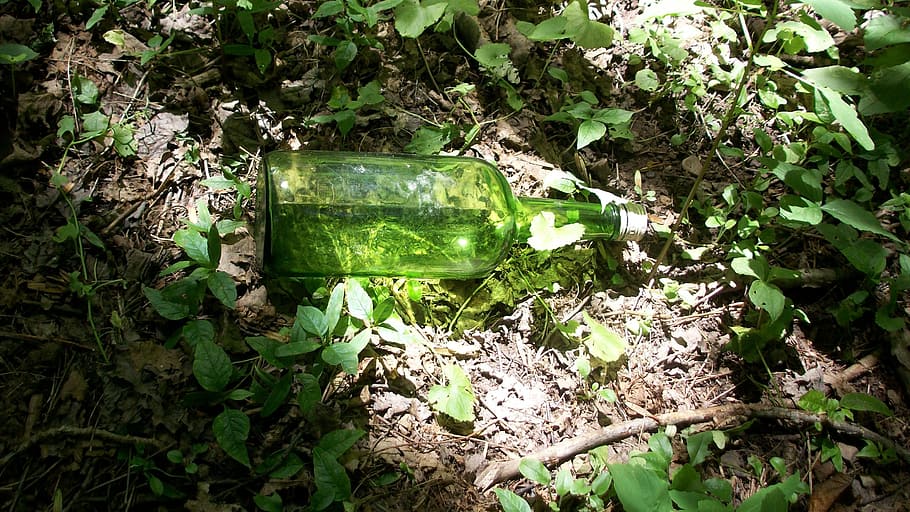 Девушка дрочит очко стеклянной бутылкой из-под вина фото