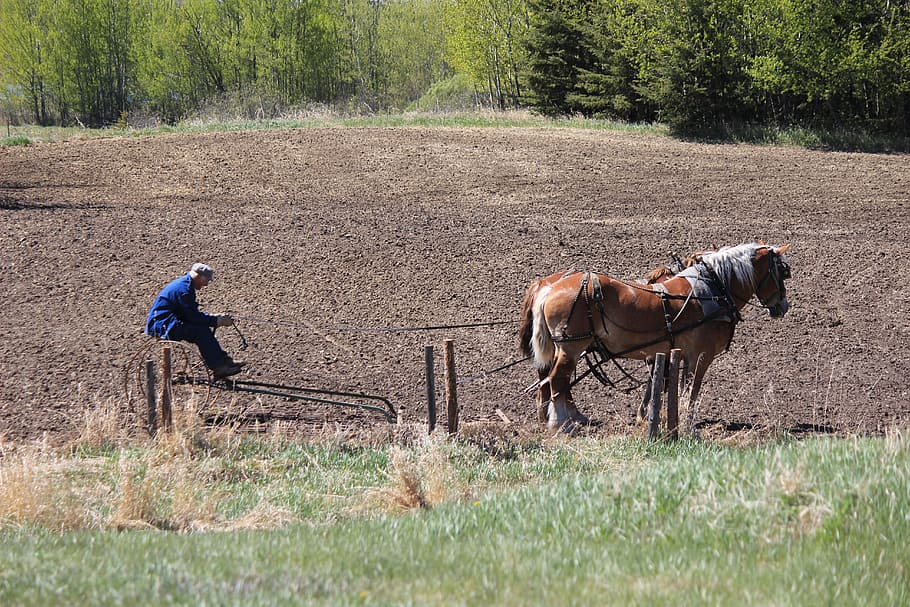 Farmers Plow Their Fields