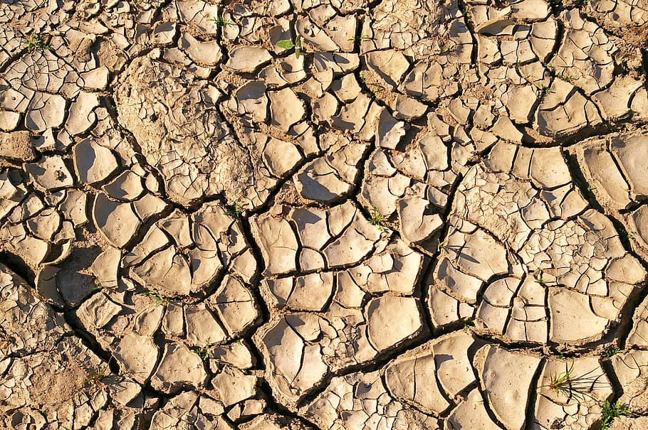 Drought season fist compilations