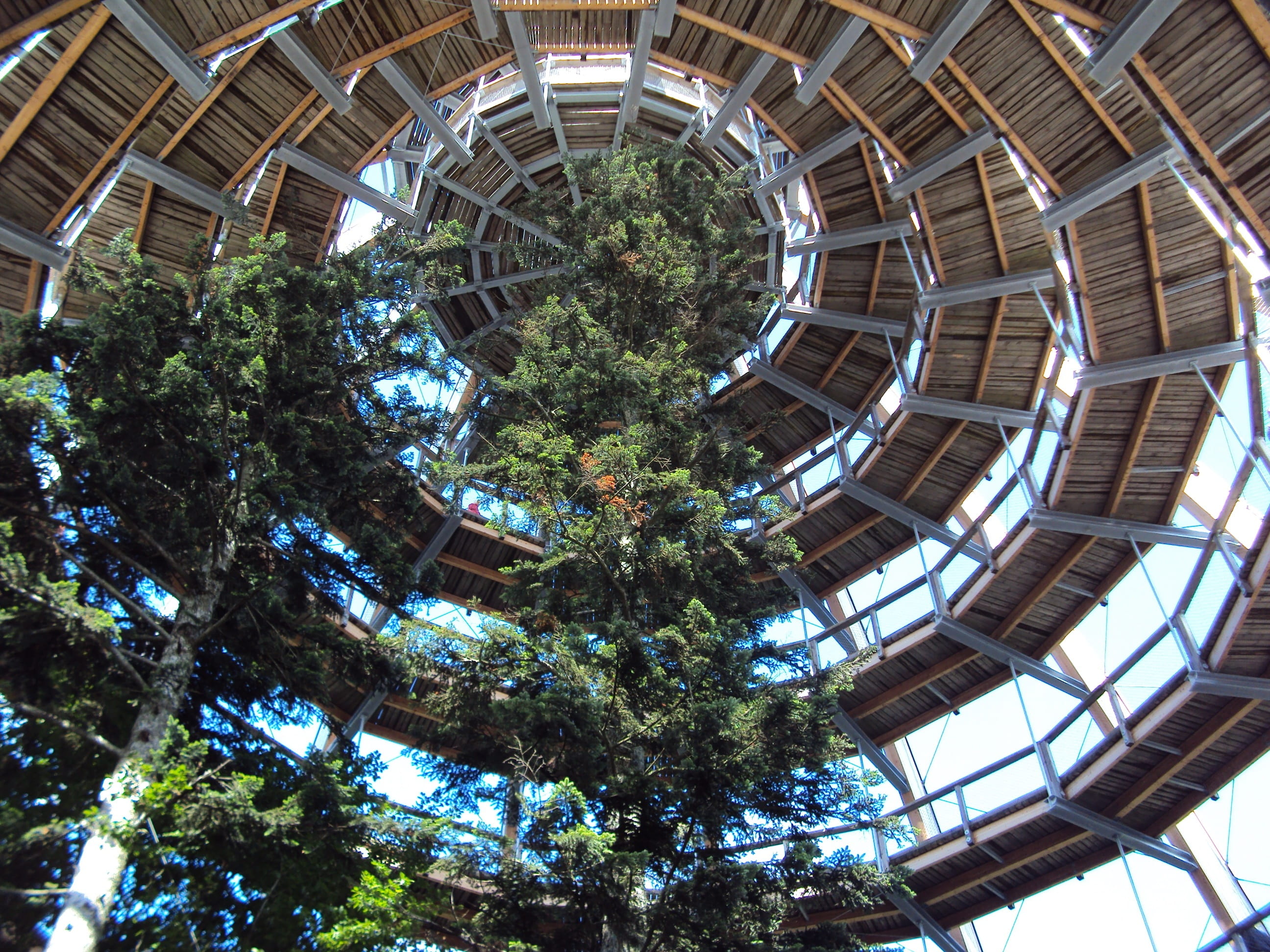 walking path, around, high, built structure, low angle view