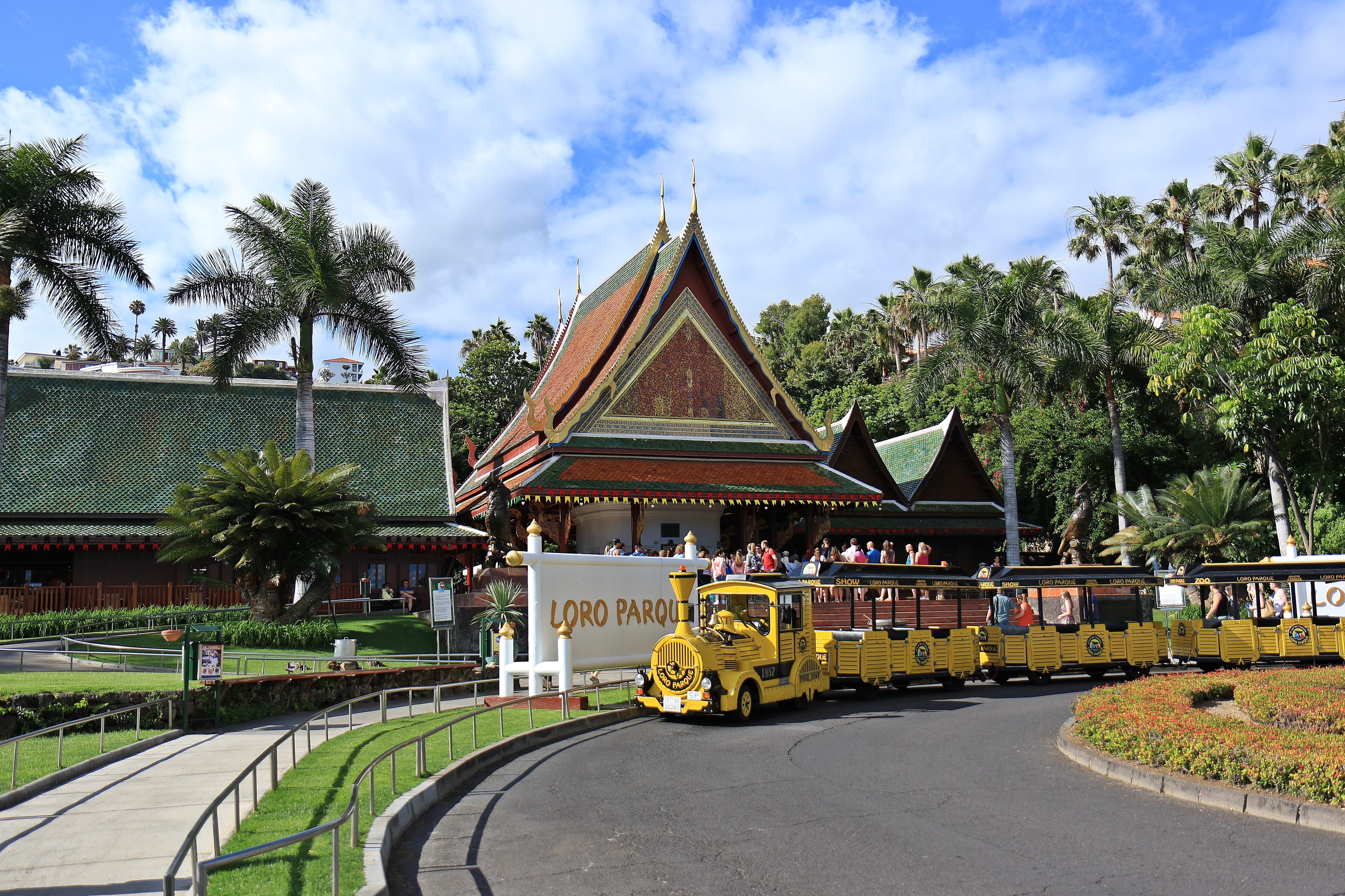 Train, Queue, Module, Rails, the queue, loro parque, tenerife