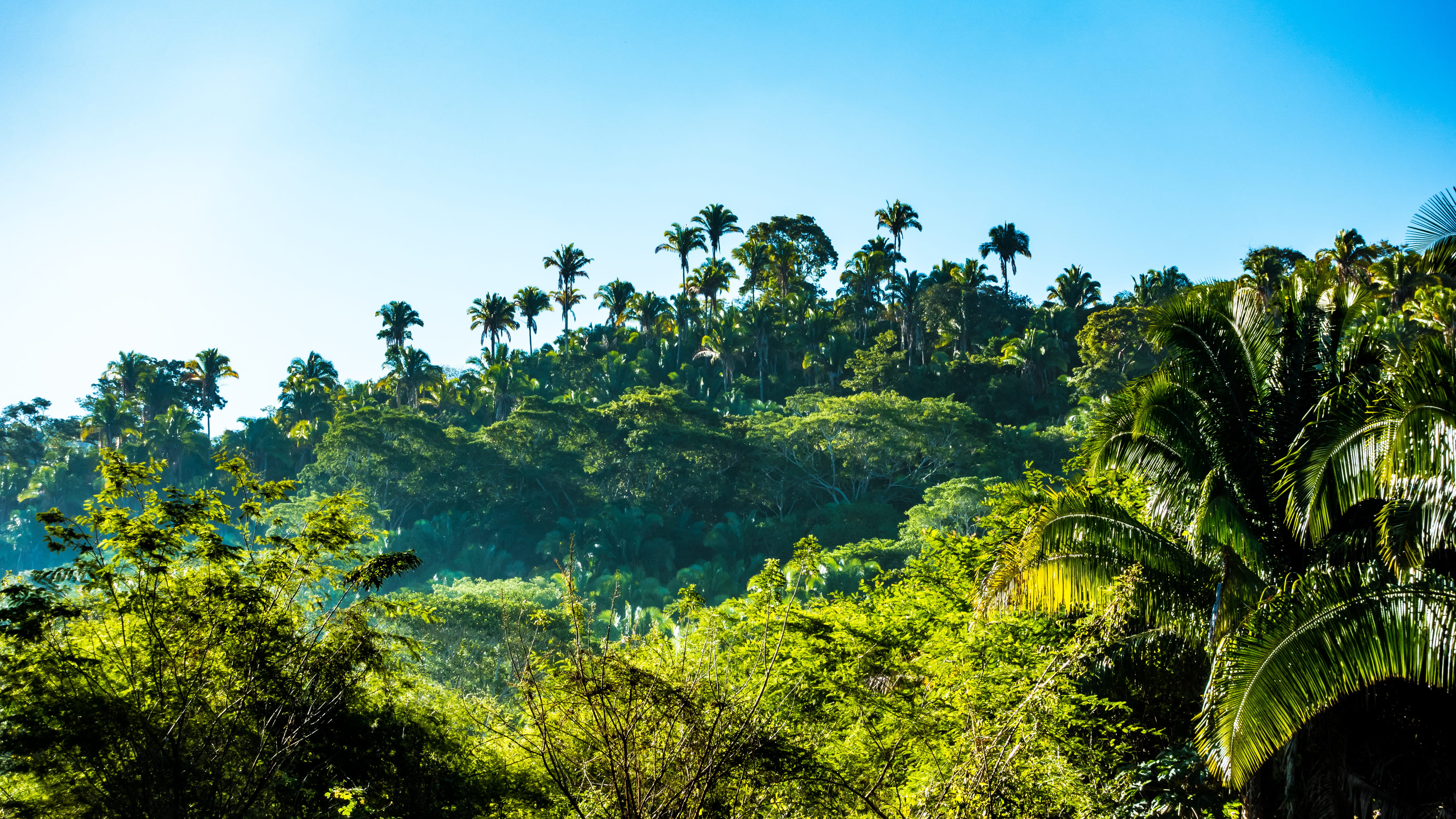 landscape, nature, sky, clouds, daylight, environment, forest