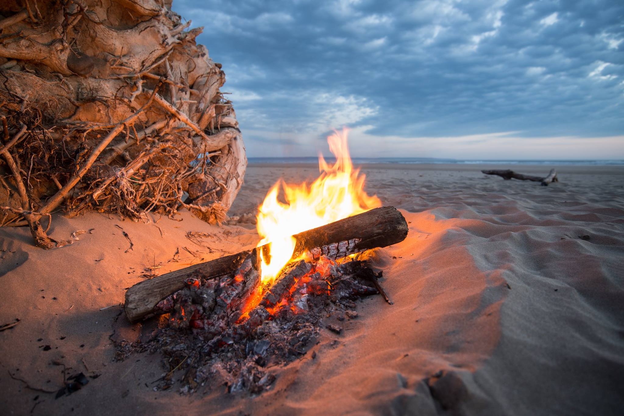 bonfire near sea at golden hour, campfire, beach, heat, flame