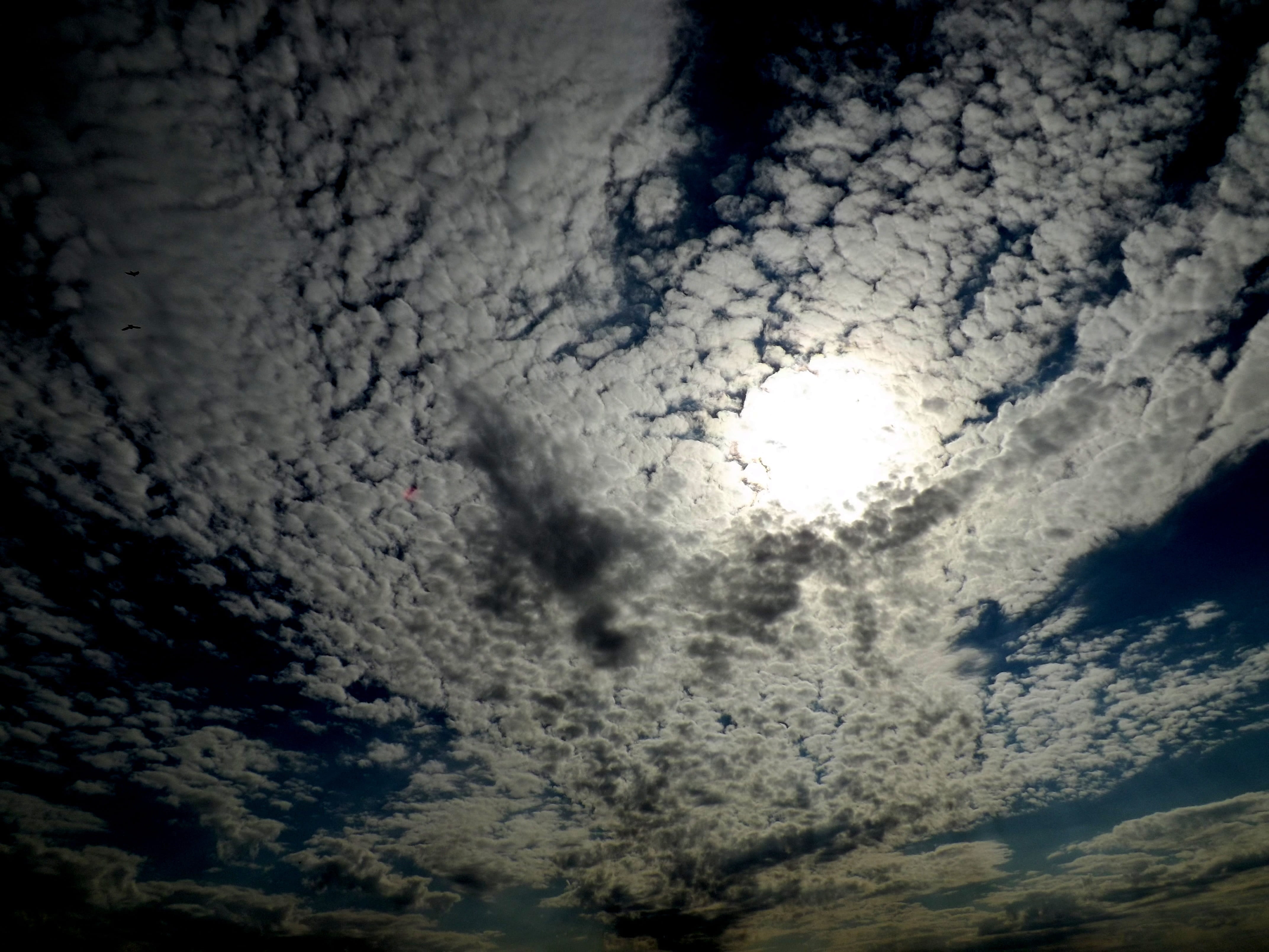 Cloud, Fluffy, White, sky, blue, in the evening, space, space exploration