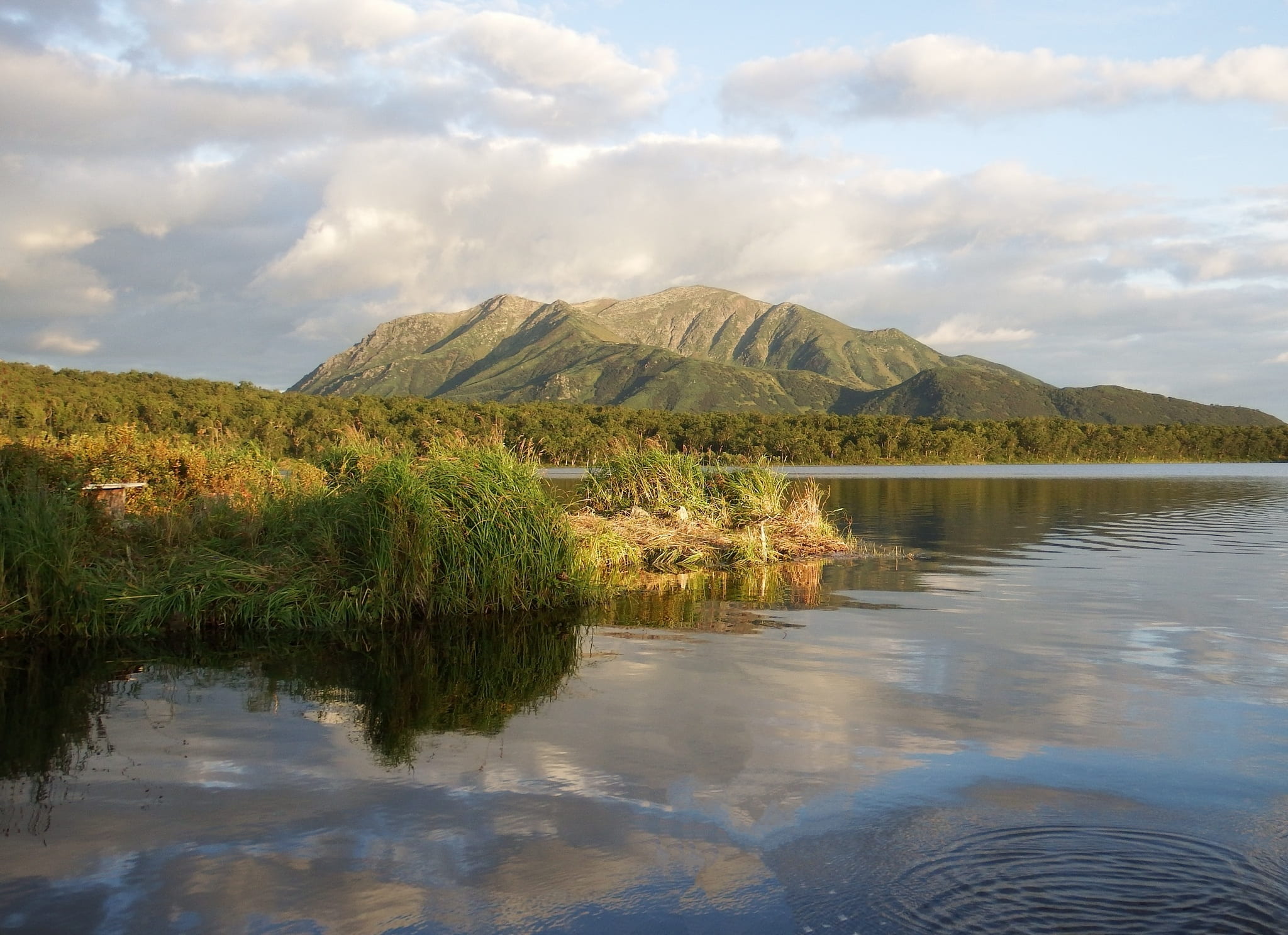 lake, mountains, forest, reflection, clouds, sky, beach, evening