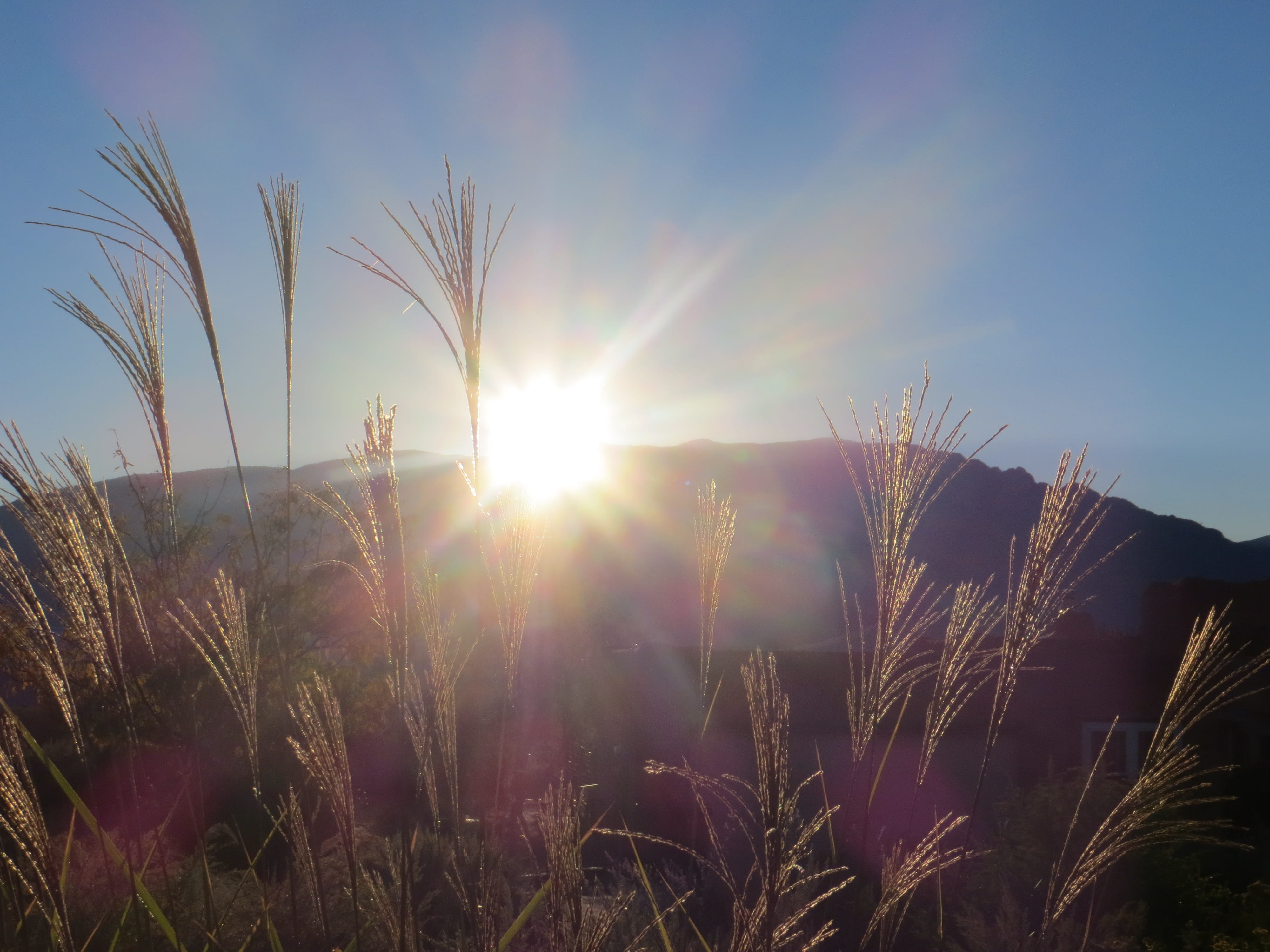 Albuquerque, Sandia, Mountain, Sunrise, sky, morning, growth