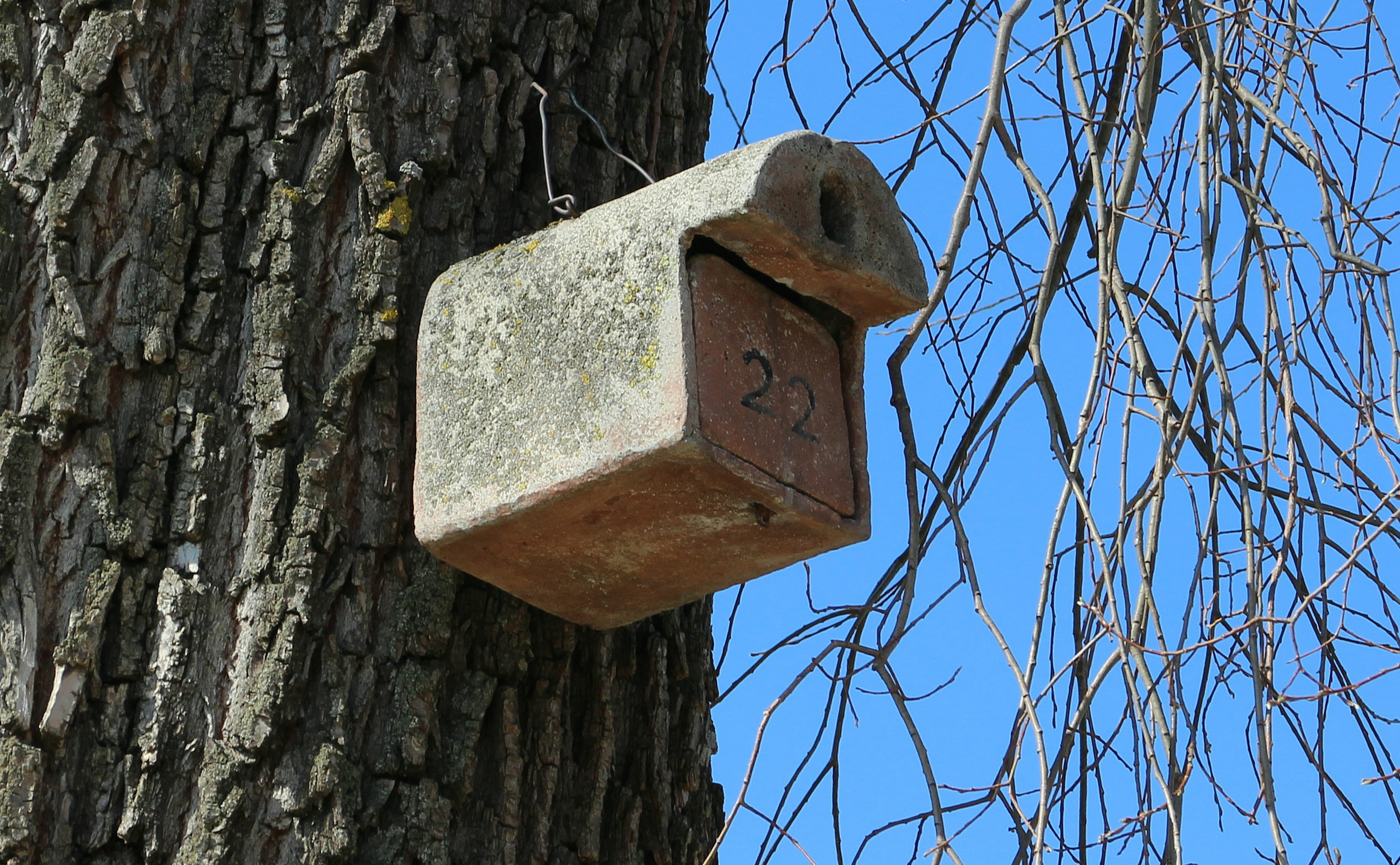 Aviary, Bird Feeder, Nesting, Help, nesting help, nesting place