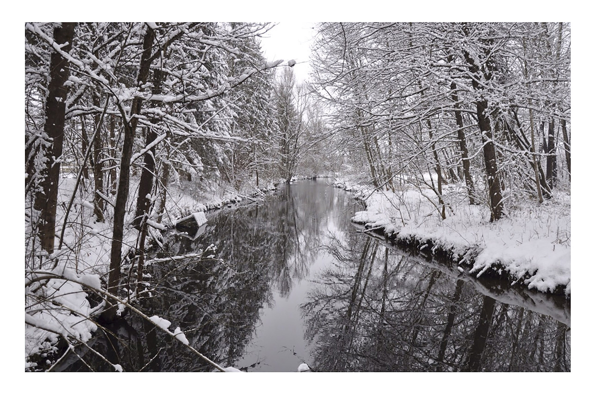 wintry, trees, river, cold, snow, winter, cold temperature