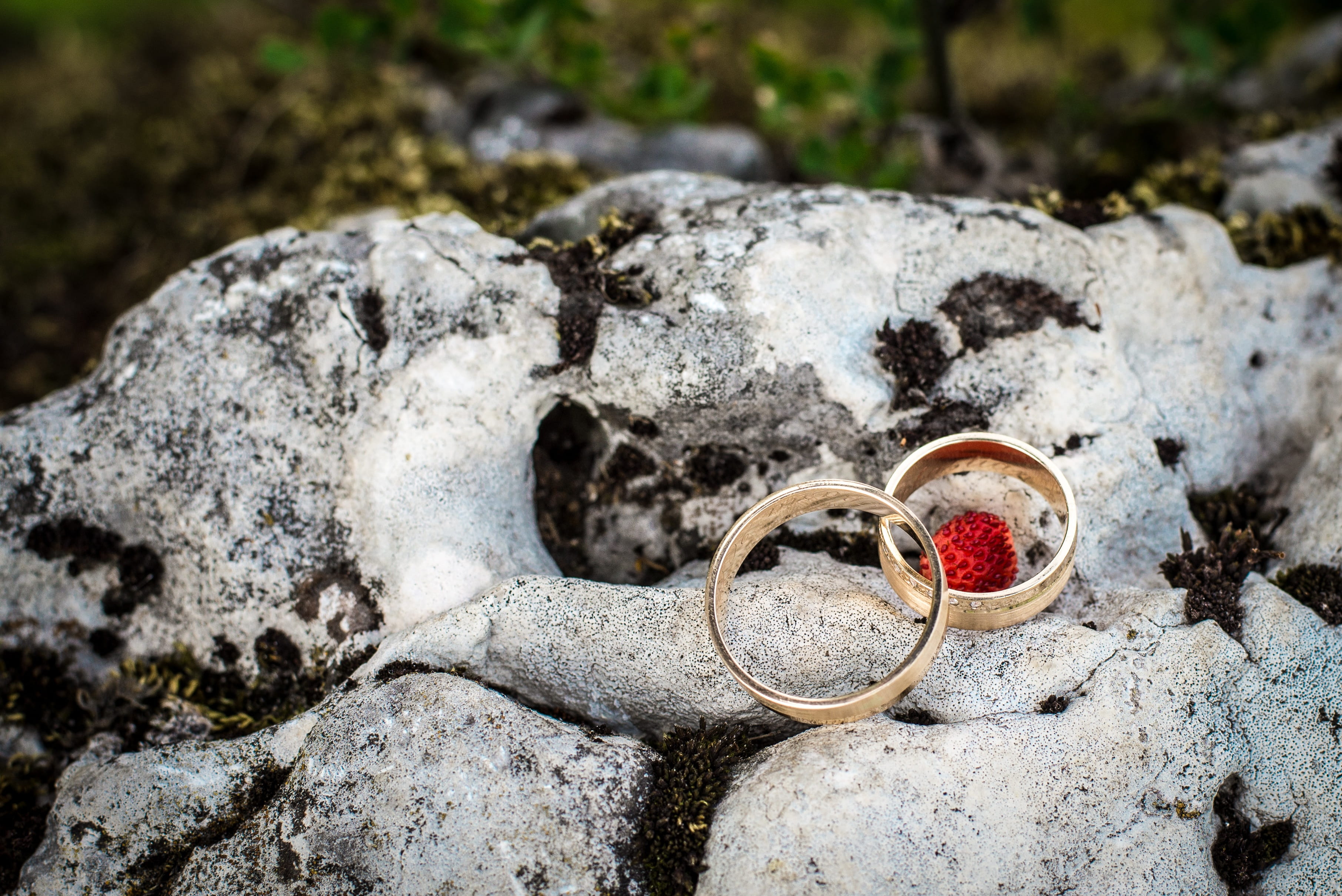 shallow focus photography of two silver rings on gray stone, wedding rings