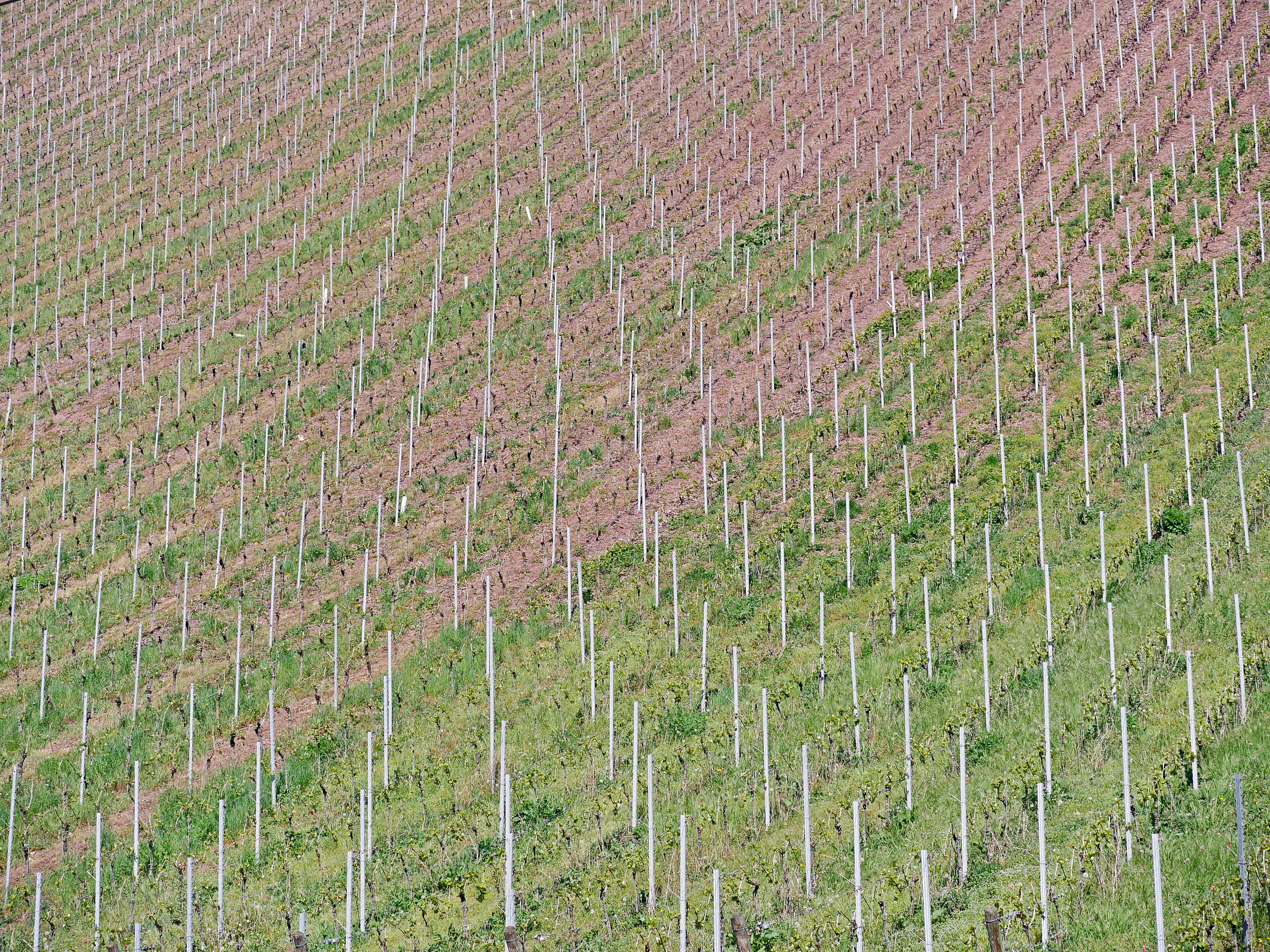 background, pattern, vineyard, slope, curved, bars, aluminium