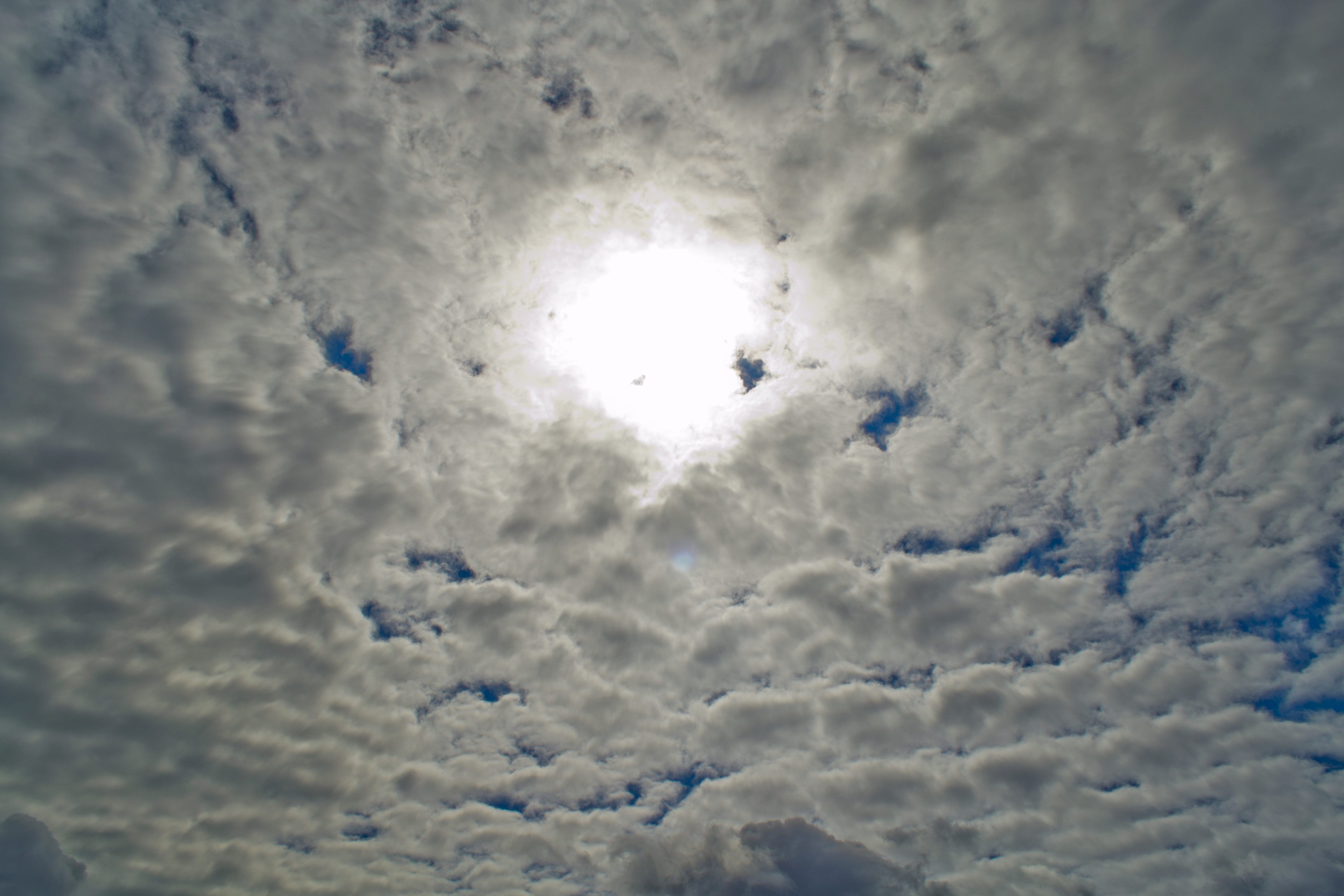 sky, clouds, sun, blue, white, cloud - sky, low angle view