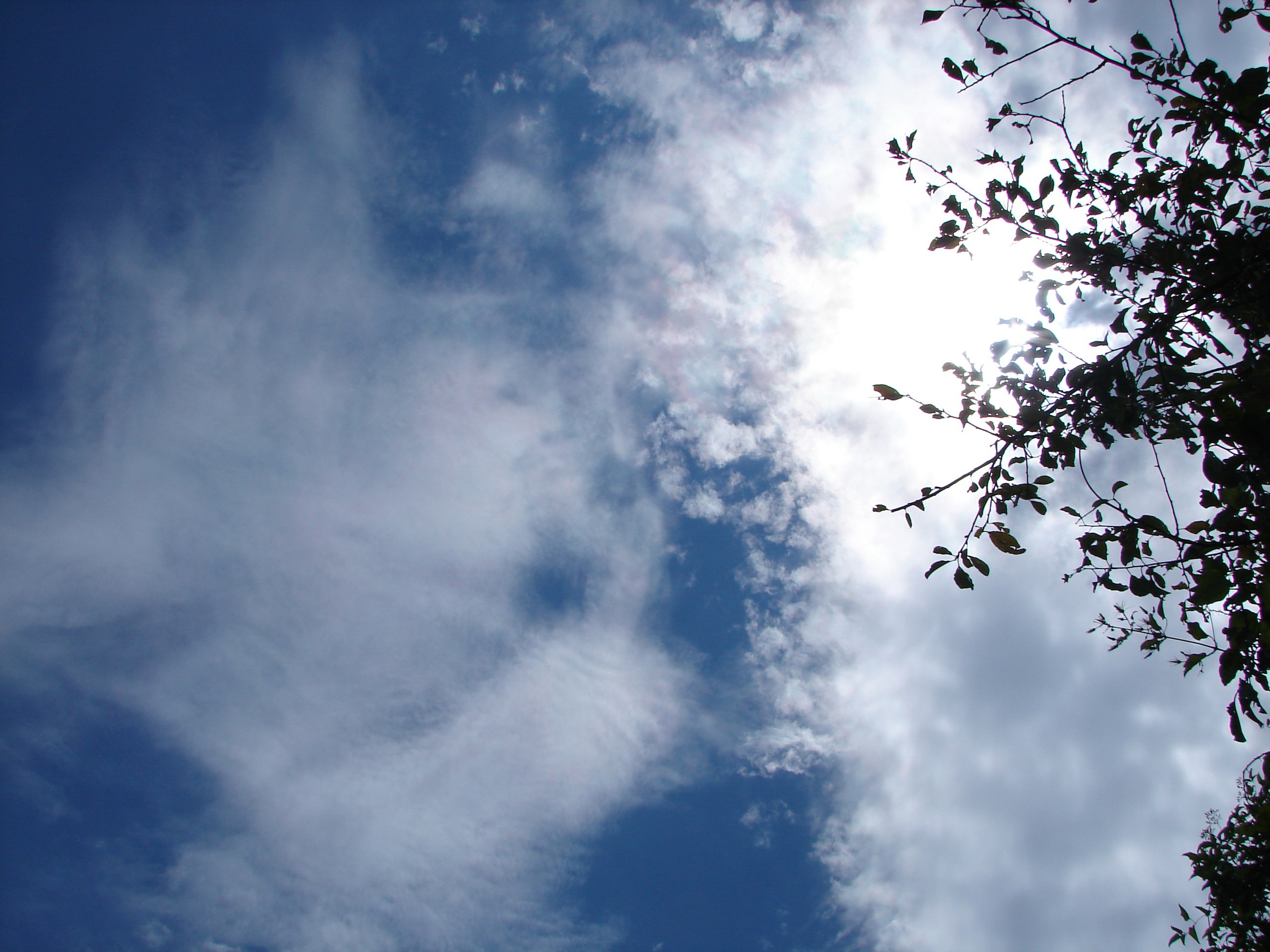 sky, dramatic, beautiful, dramatic sky, clouds, light, landscape