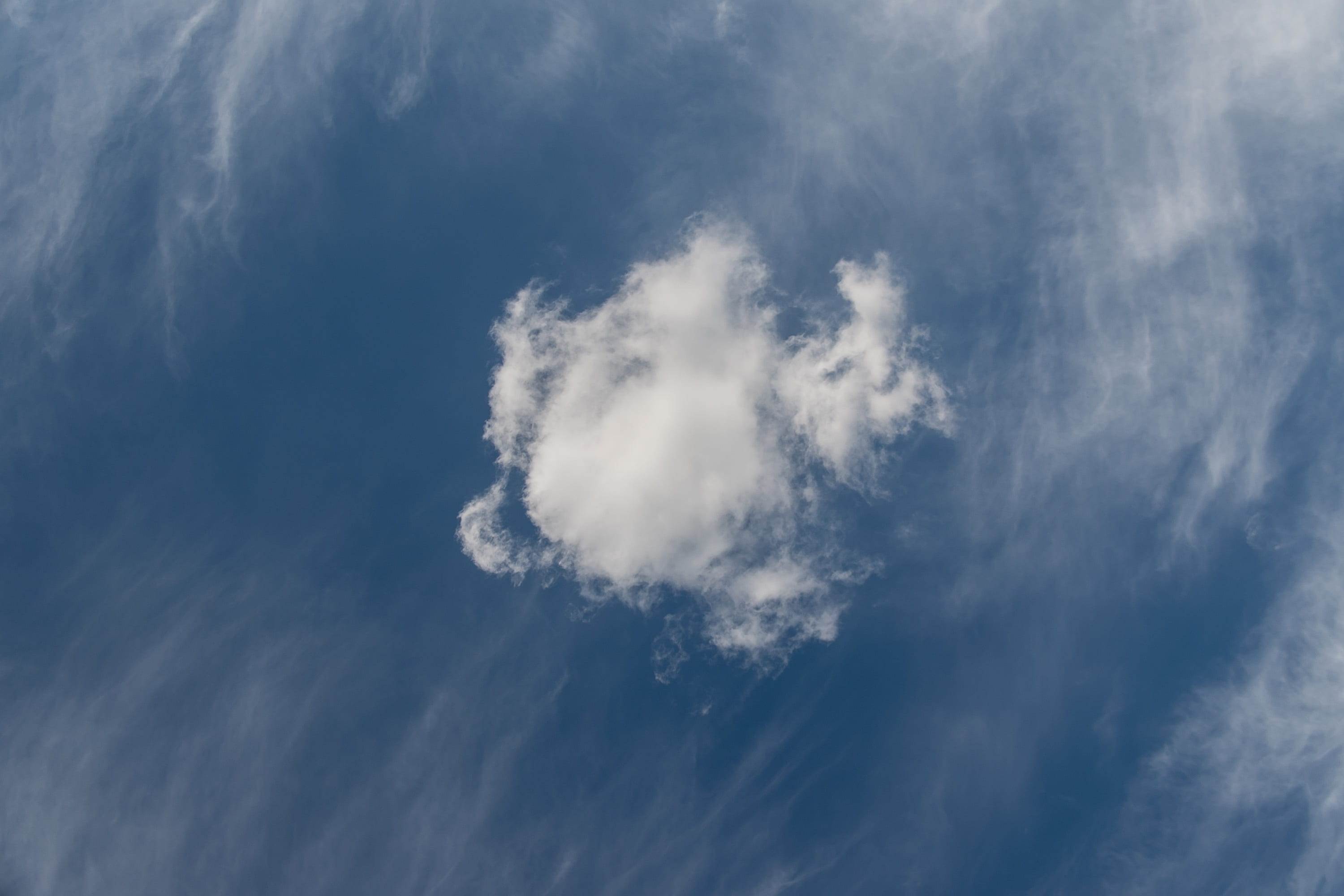 clouds, white, blue, fluffy, delicate, pattern, sky, cloud - sky