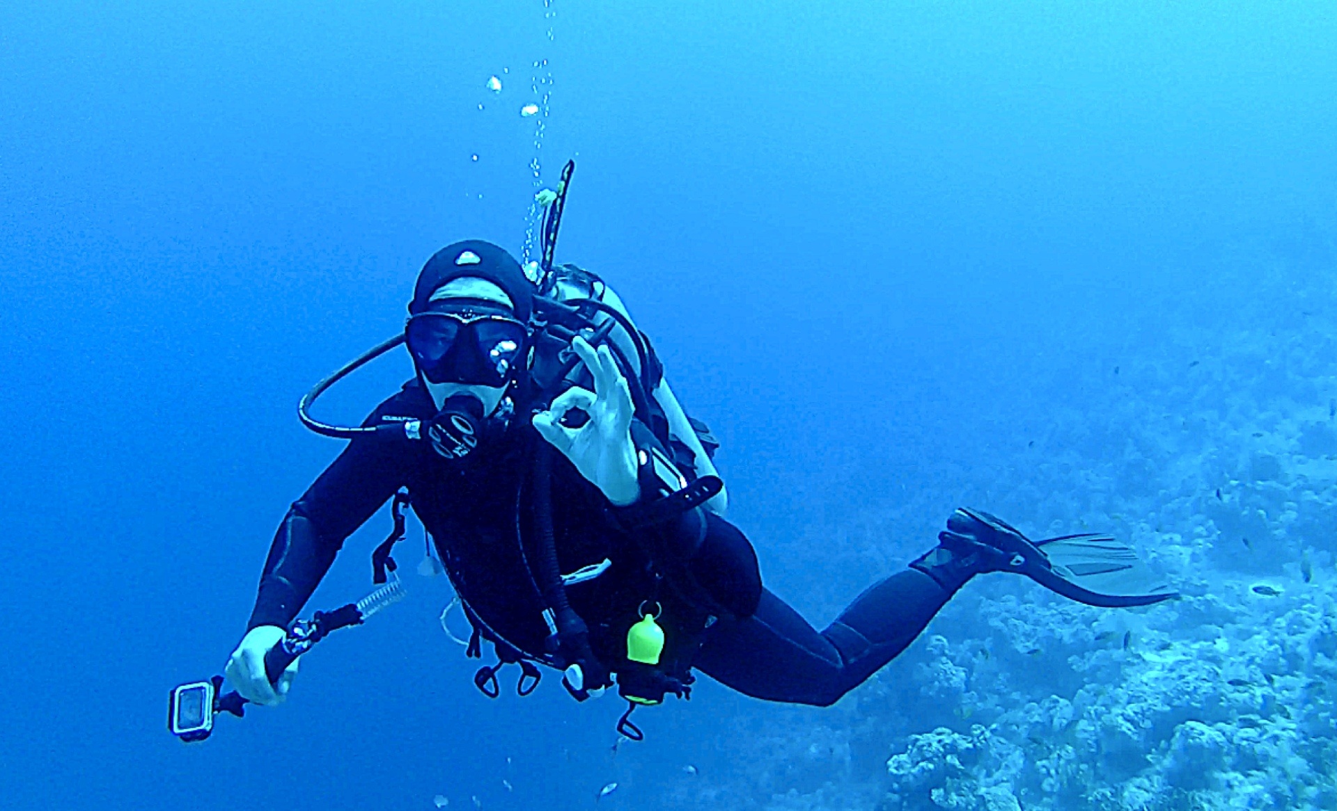 person scuba diving, underwater, divers, underwater world, egypt