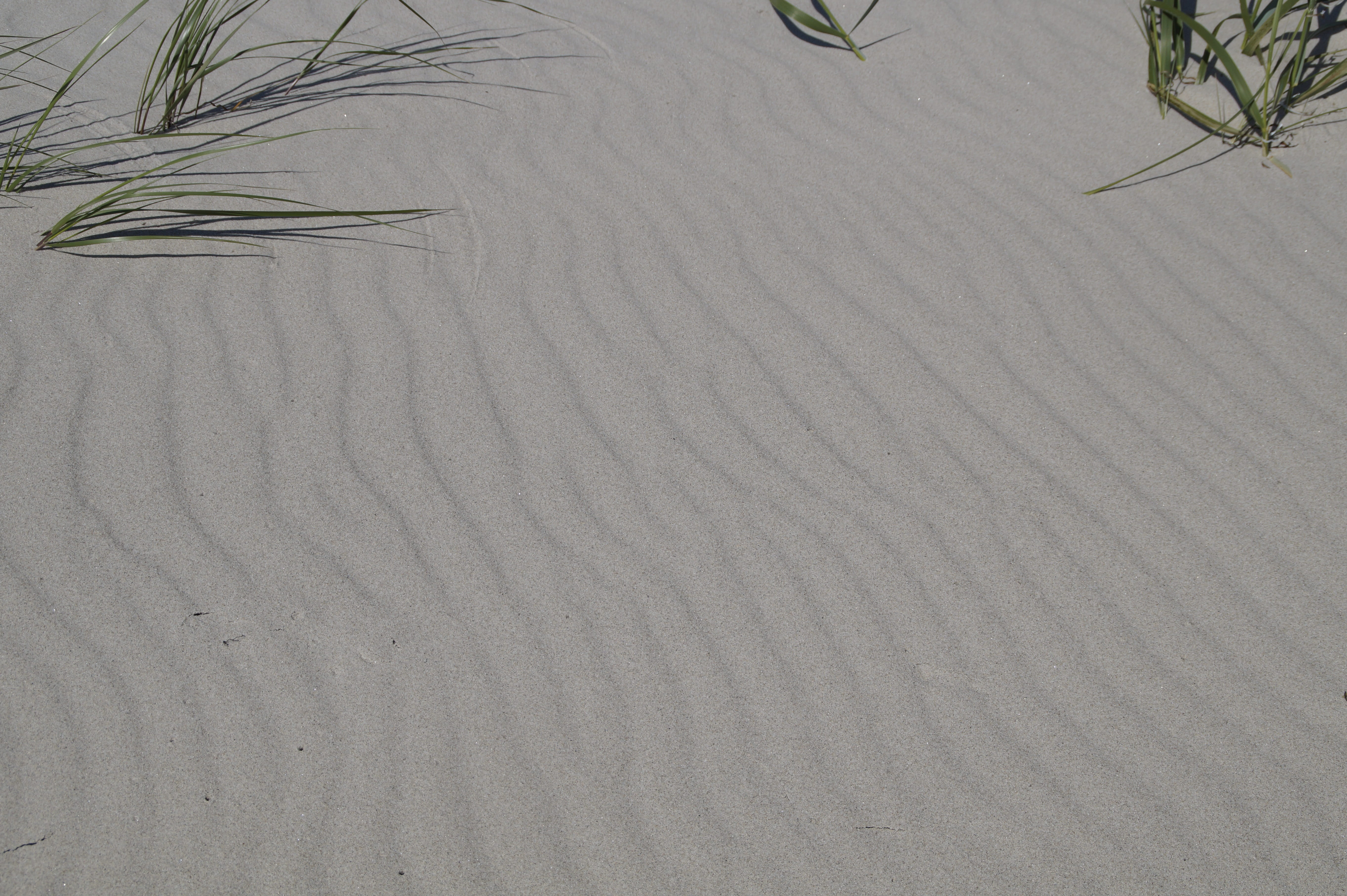 Sand, Structure, Texture, unaffected, pattern, background, beach