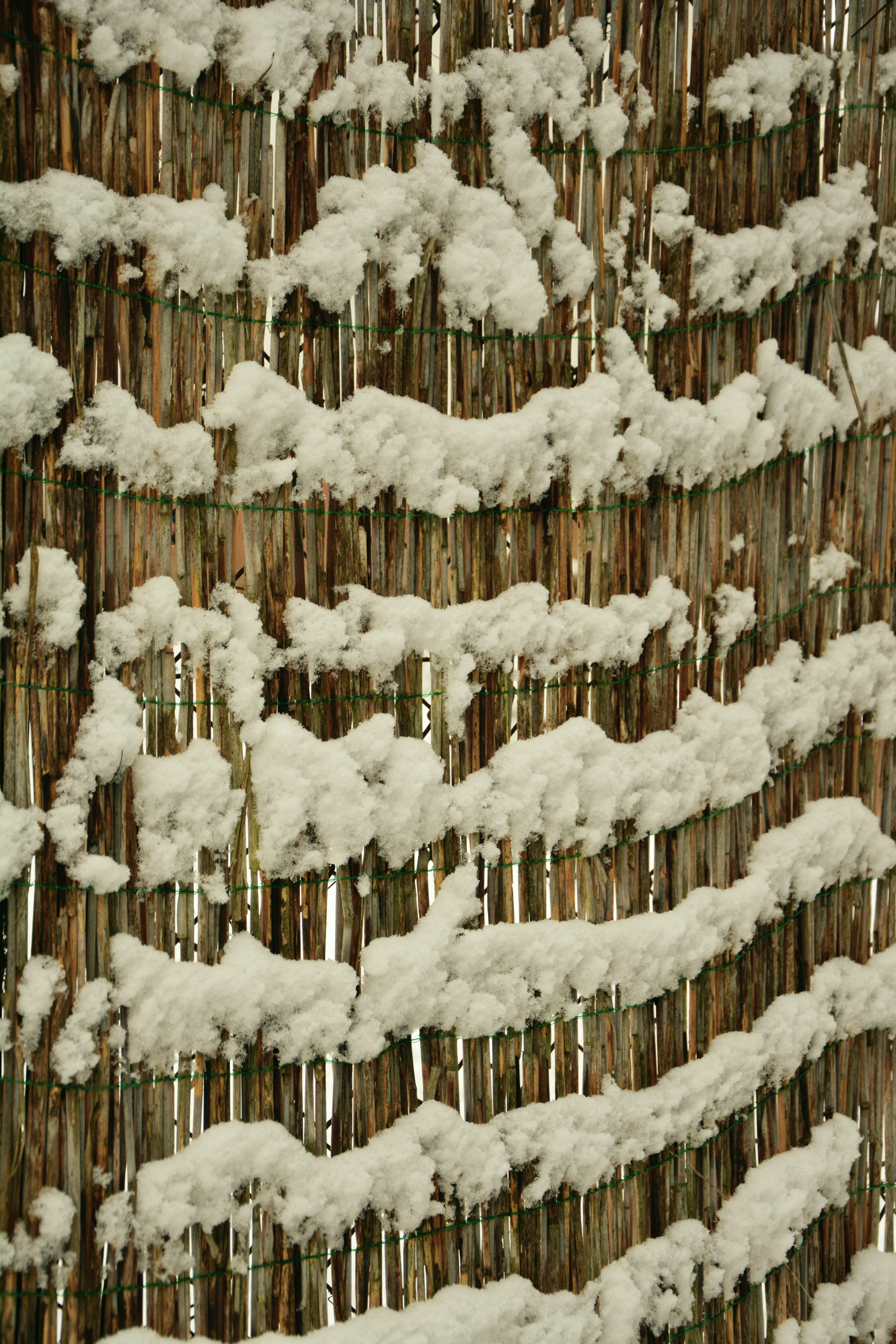 Snow, Snowy, Structure, Pattern, background, winter, wintry