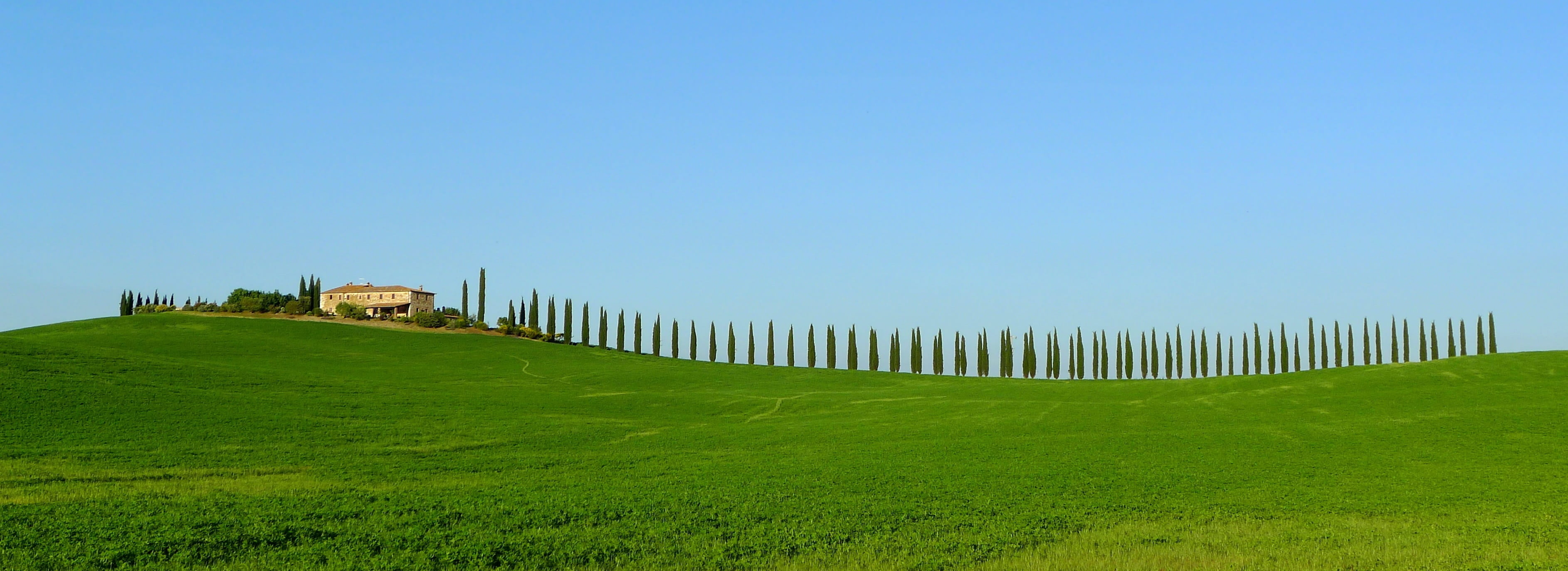 green grass field on hill at daytime, toscana, cypresses, farmhouse