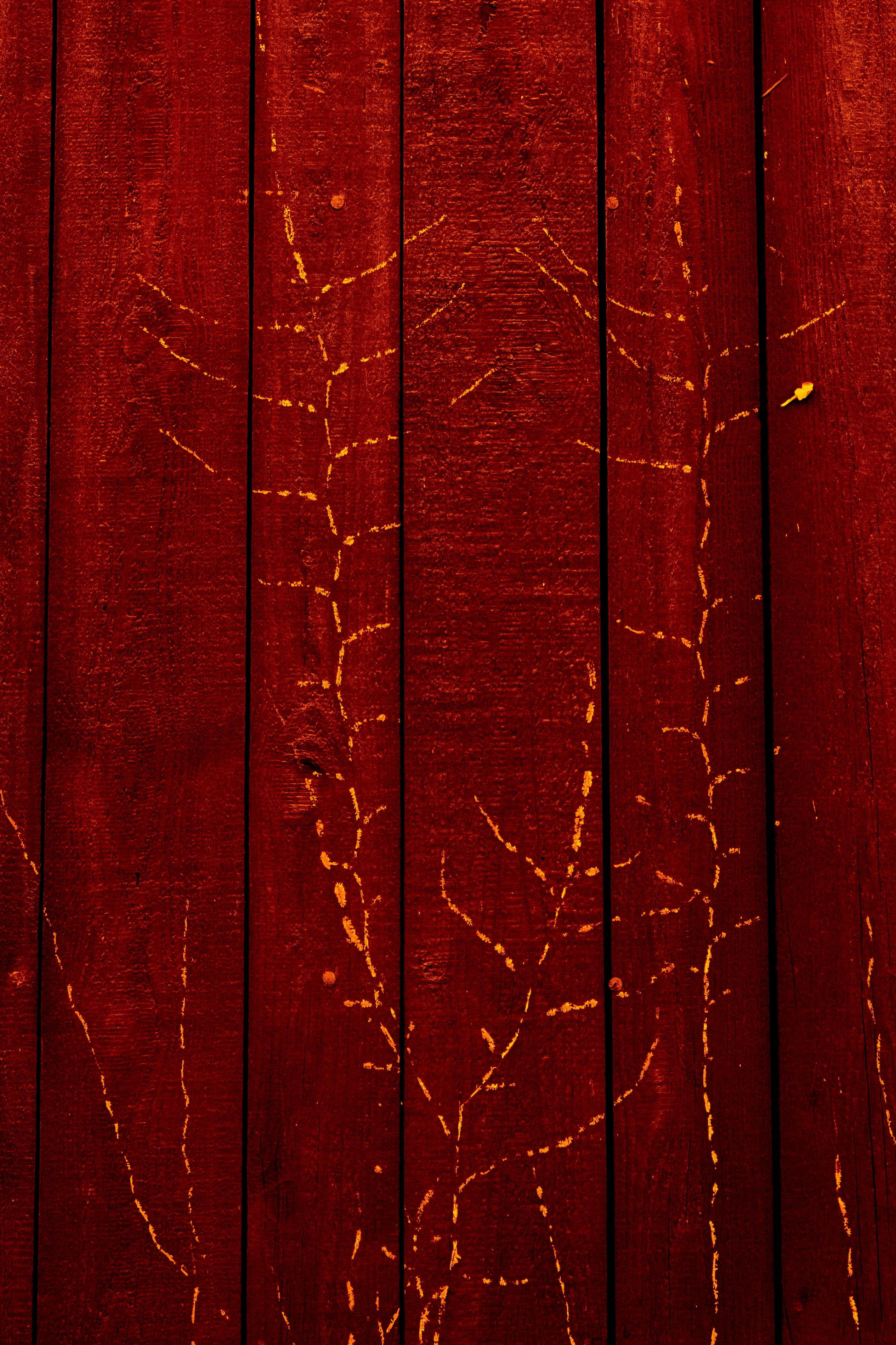 red textile, Wood, Texture, Background, Structure, grain, pattern