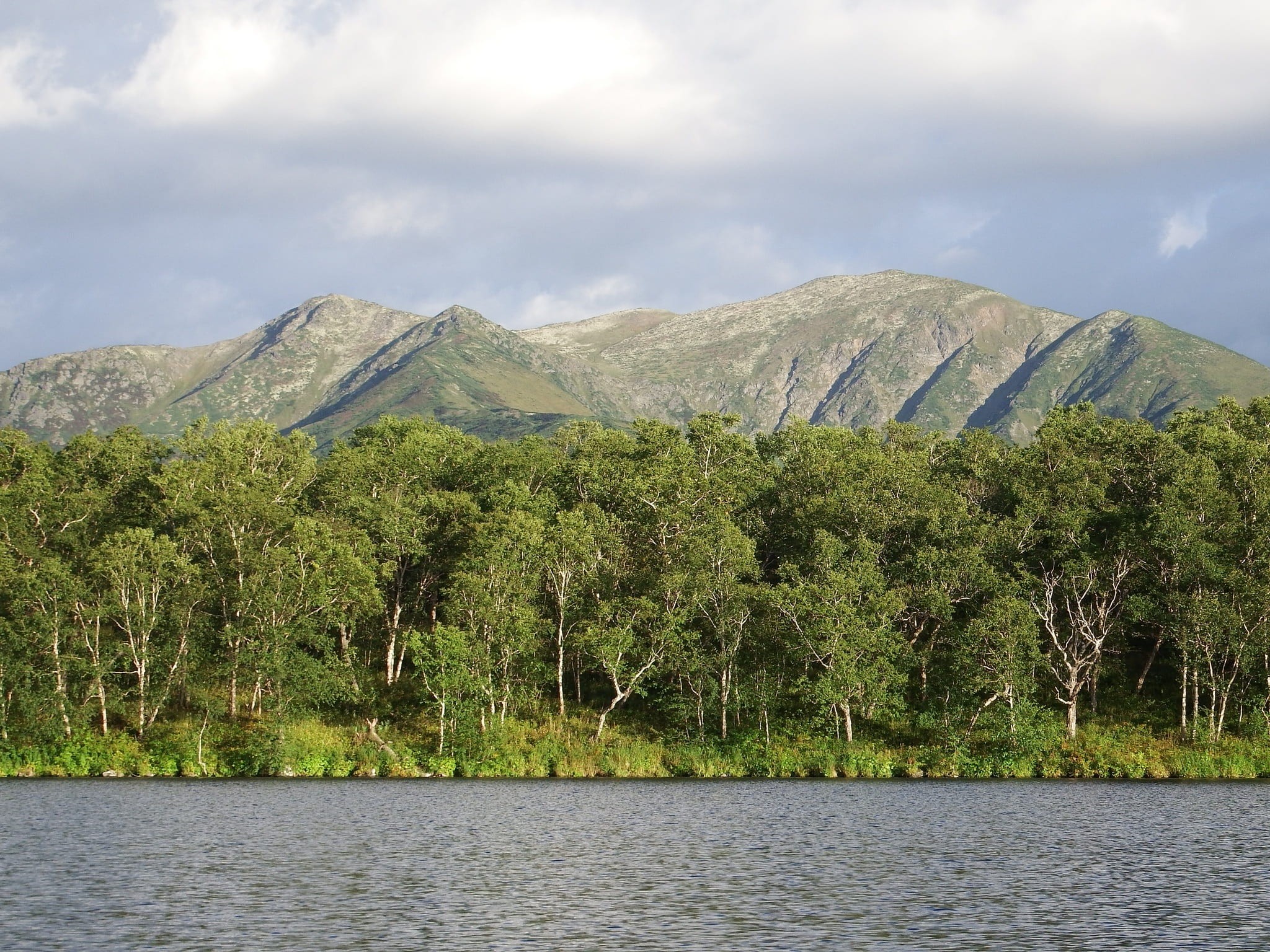lake, mountains, forest, reflection, clouds, sky, beach, evening