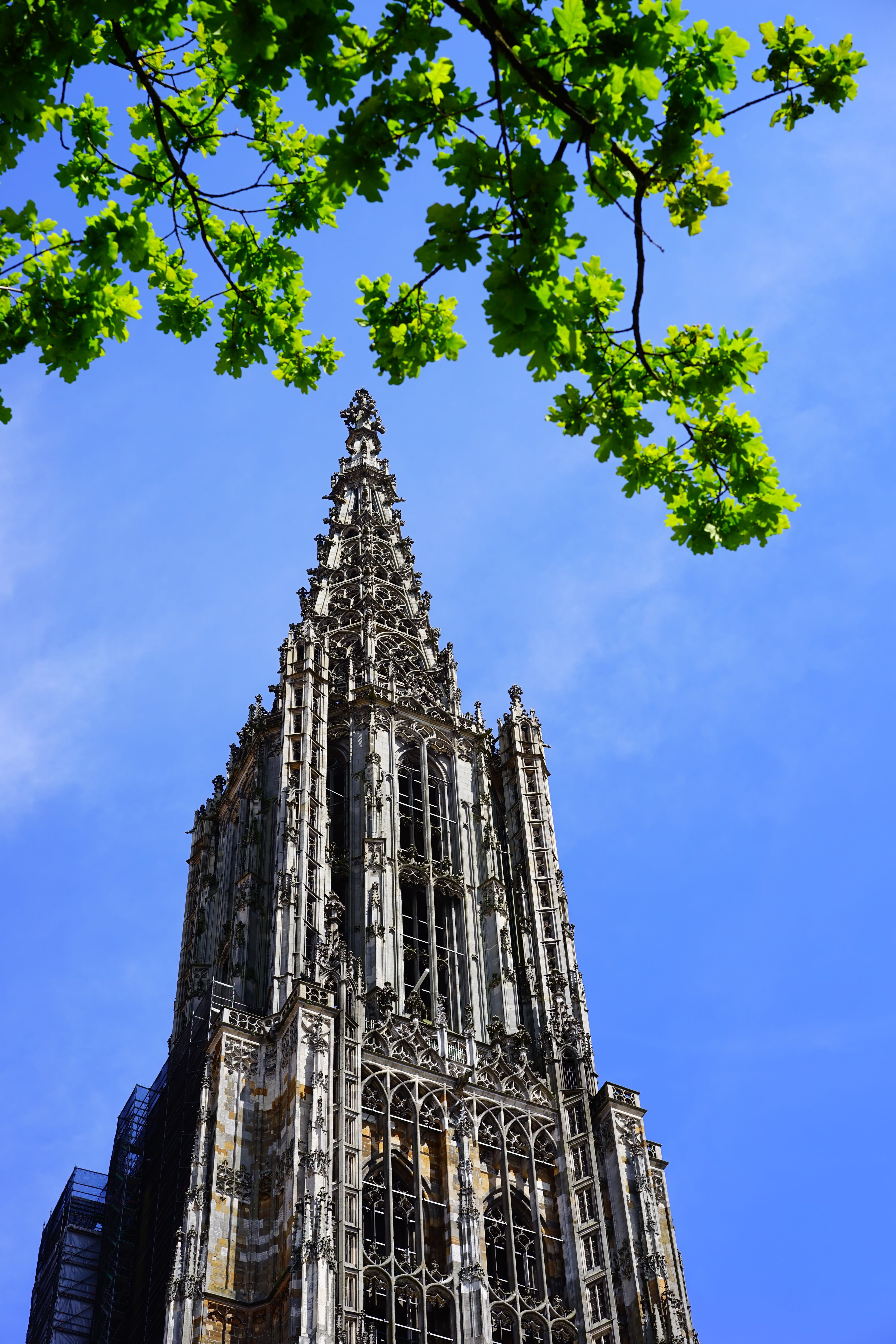 ulm cathedral, münster, building, dom, tower, church, architecture