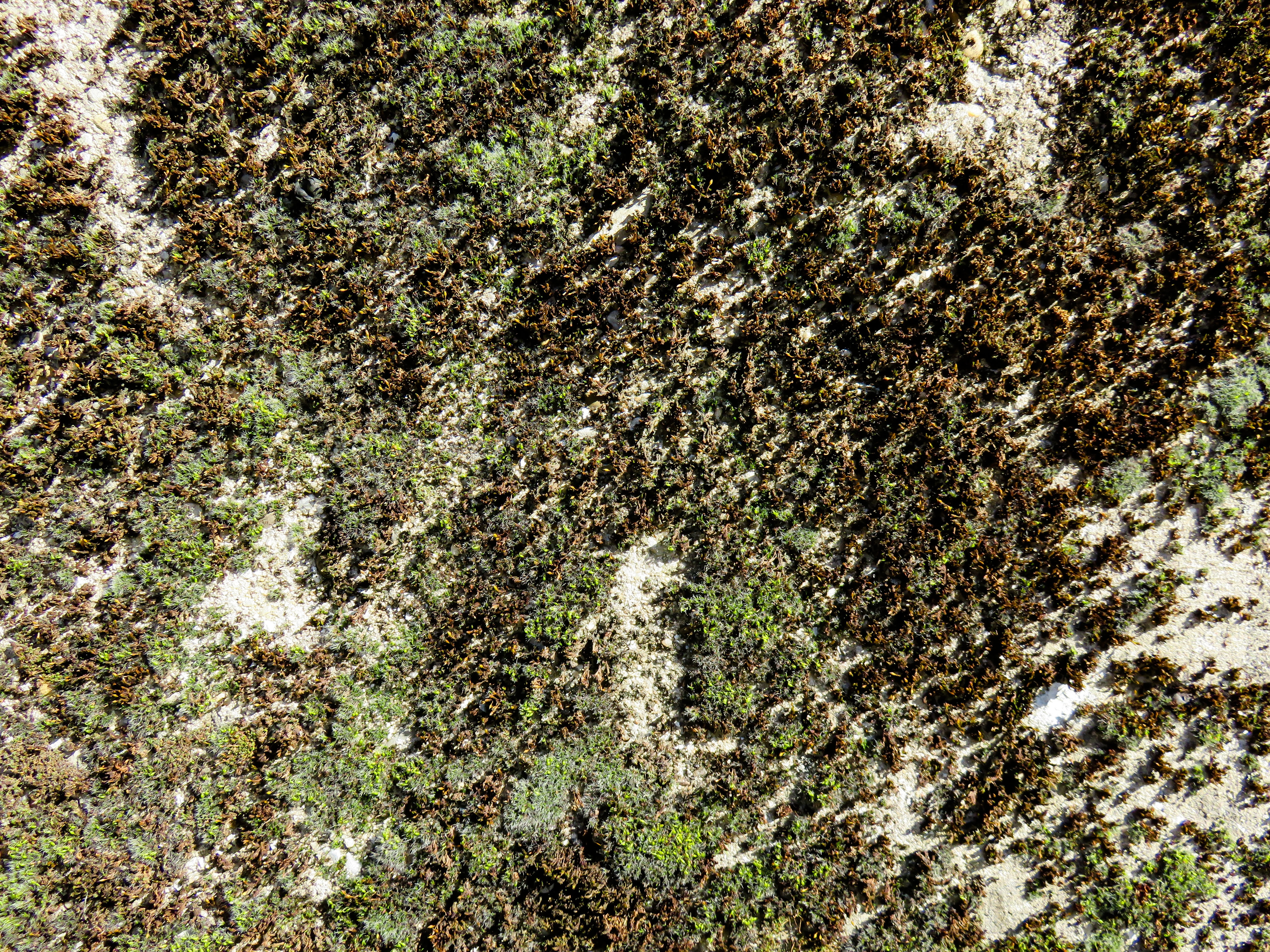 texture, background, wall, plaster, structure, weave, facade