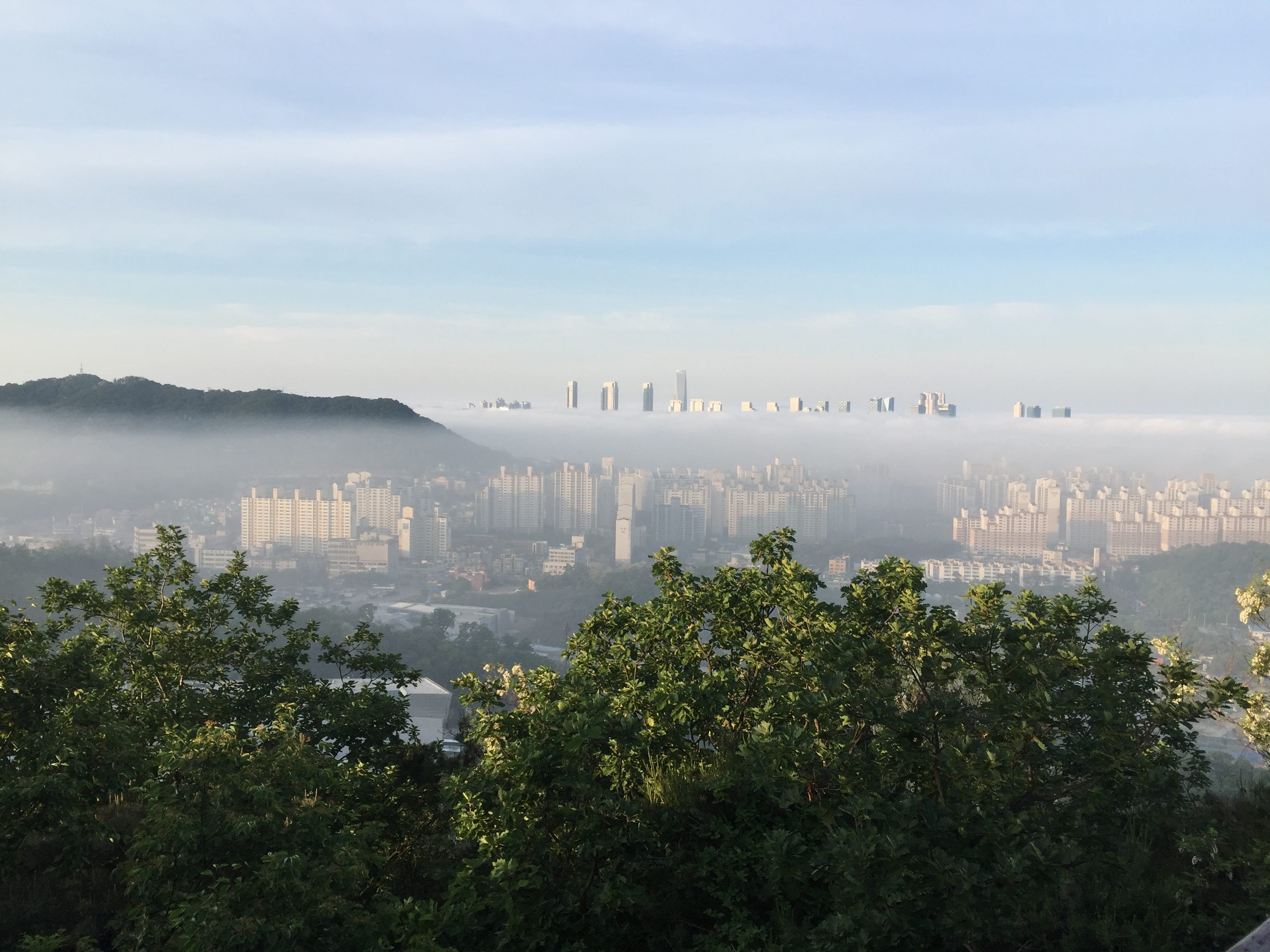 Free download | HD wallpaper: misty, incheon metropolitan city yeonsu ...