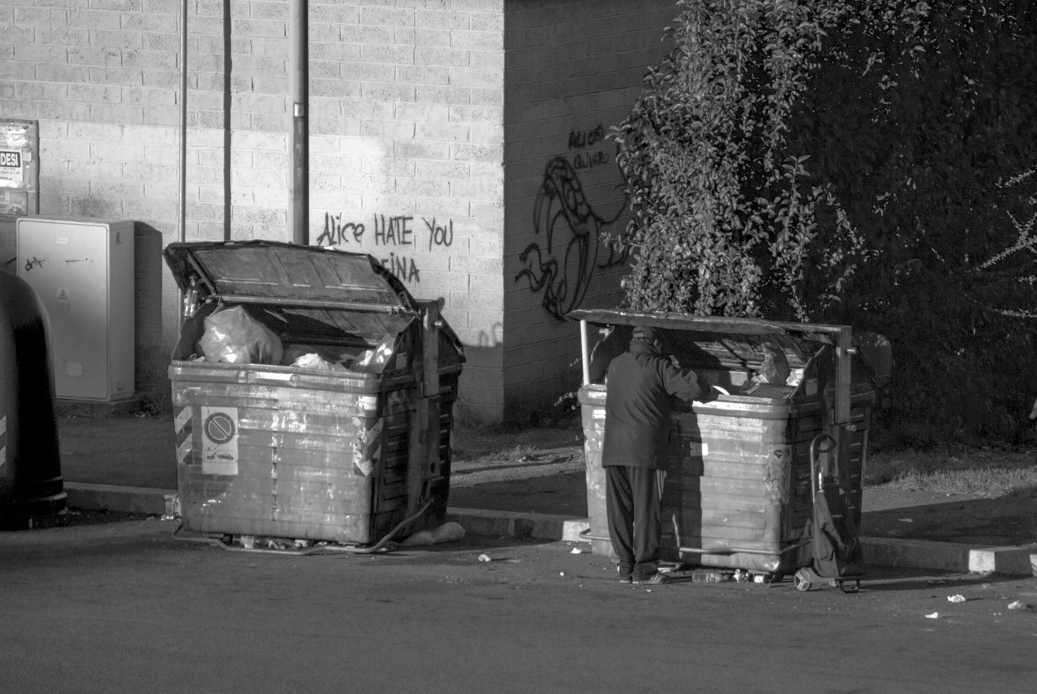 grayscale photo of person looking at trash bin, man, poor, misery
