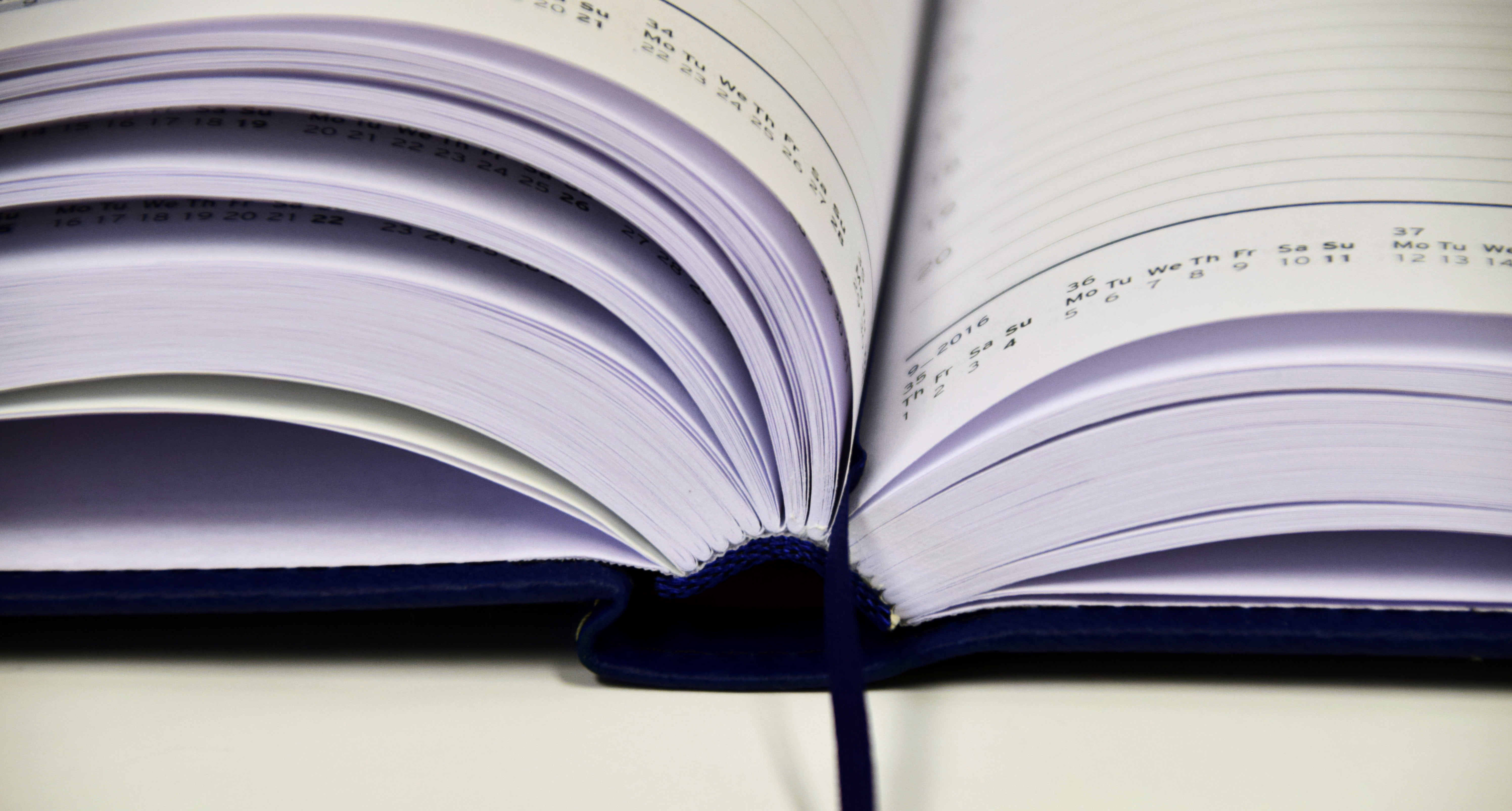 blue and white book, notebook, leave, notes, write down, diary