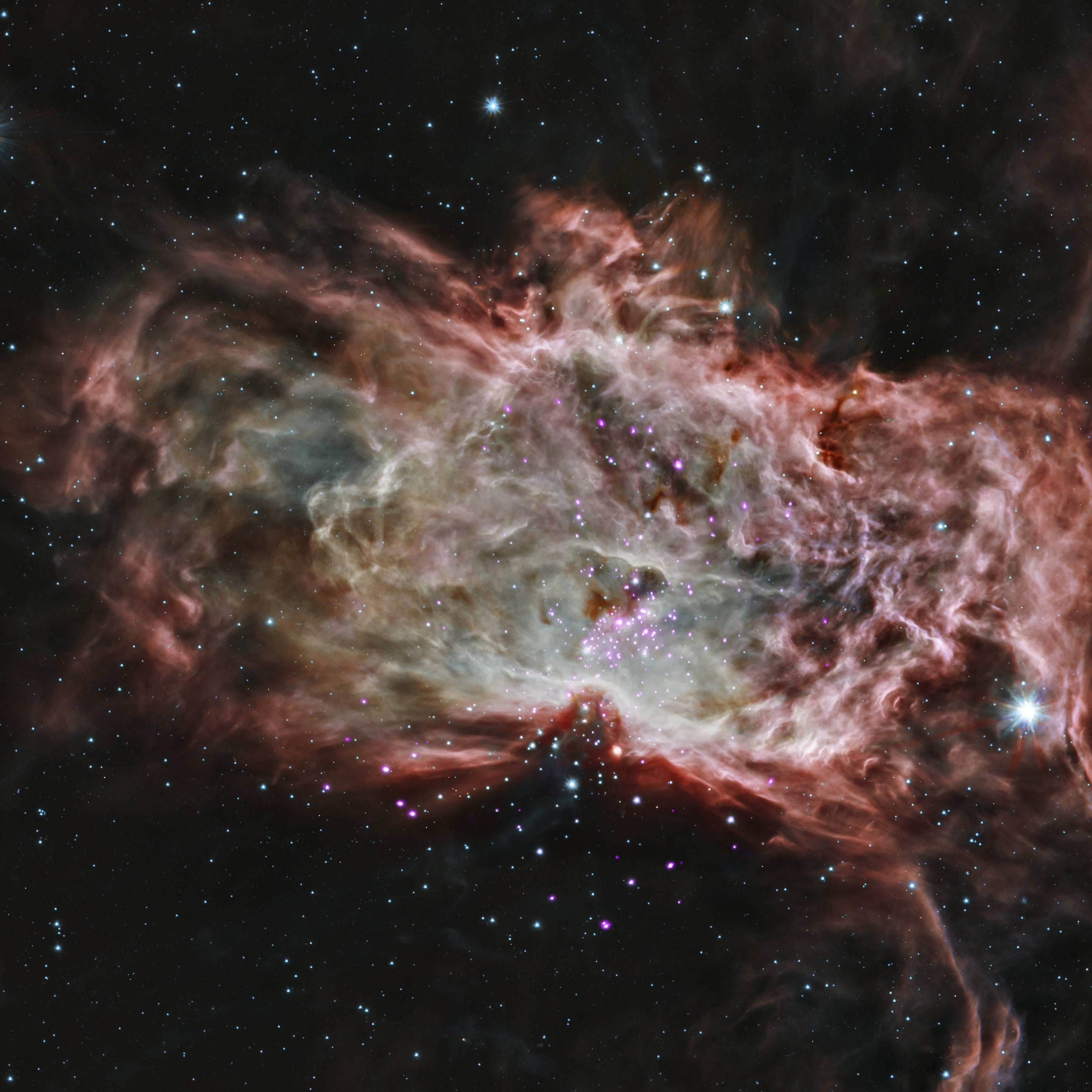 flame nebula, star cluster, ngc 2024, starry, dust, cosmos
