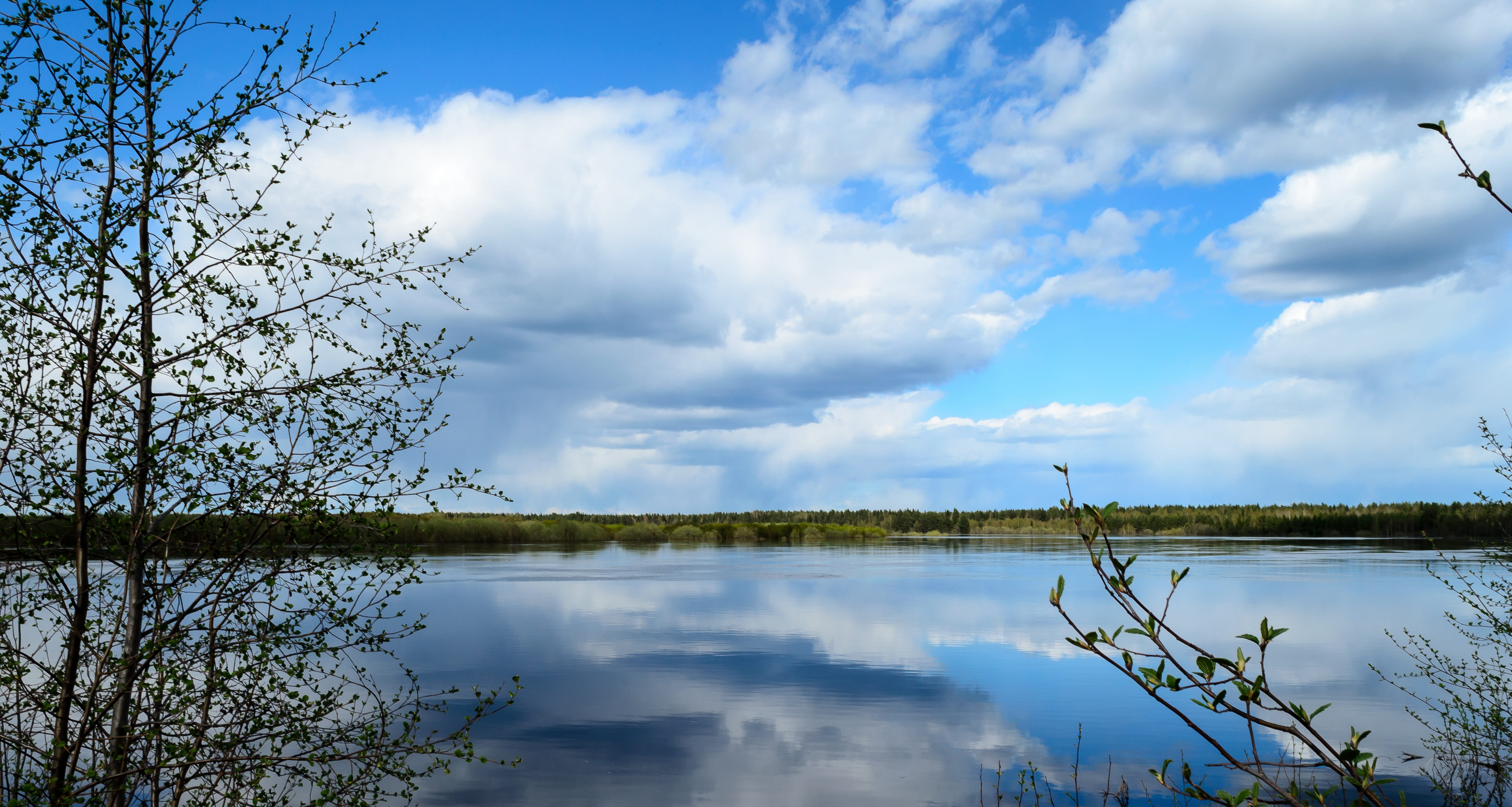 river, sky, nature, clouds, trees, blue, reflection, summer