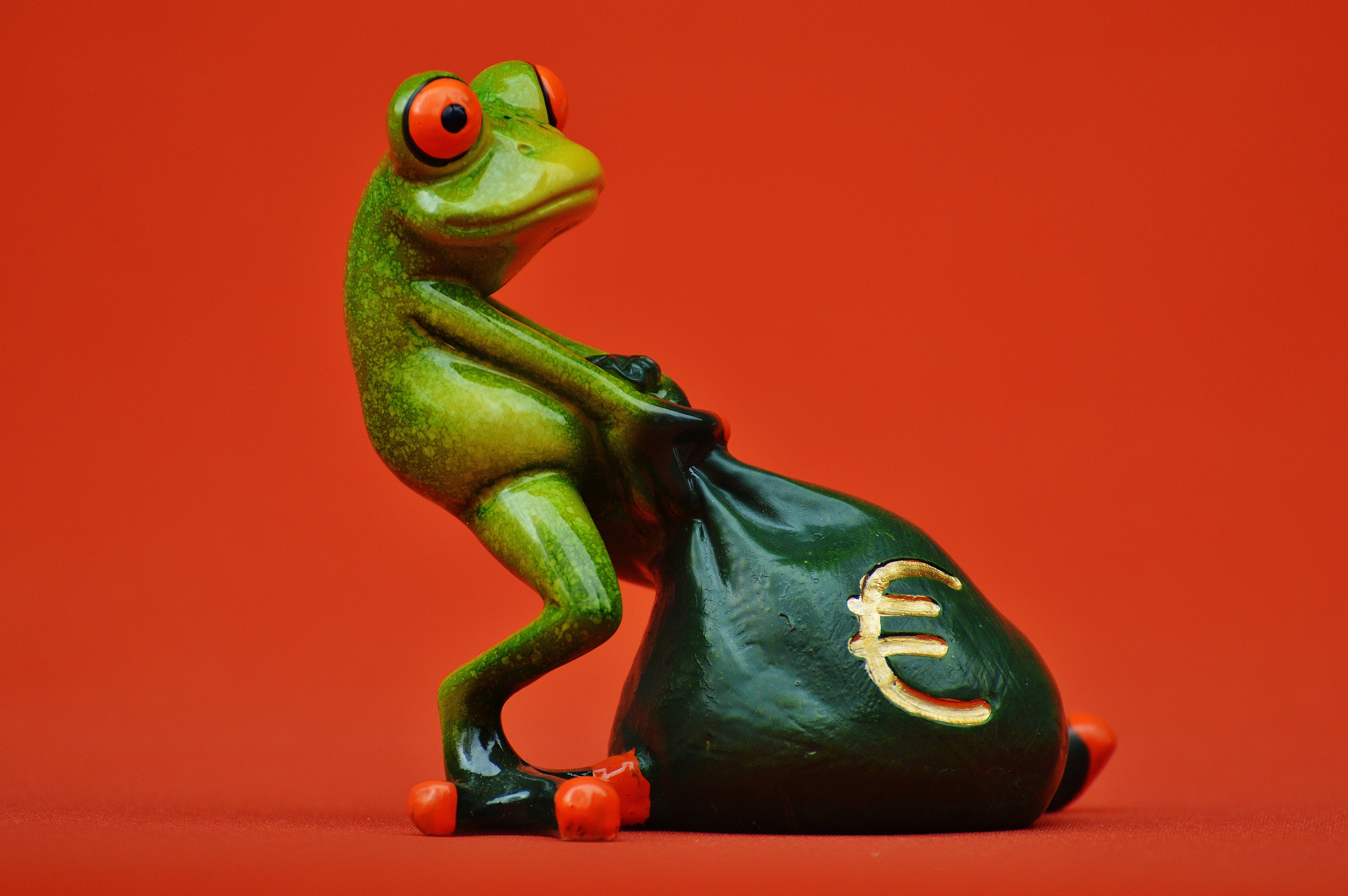 frog, money, euro, bag, money bag, funny, cute, figure, empire