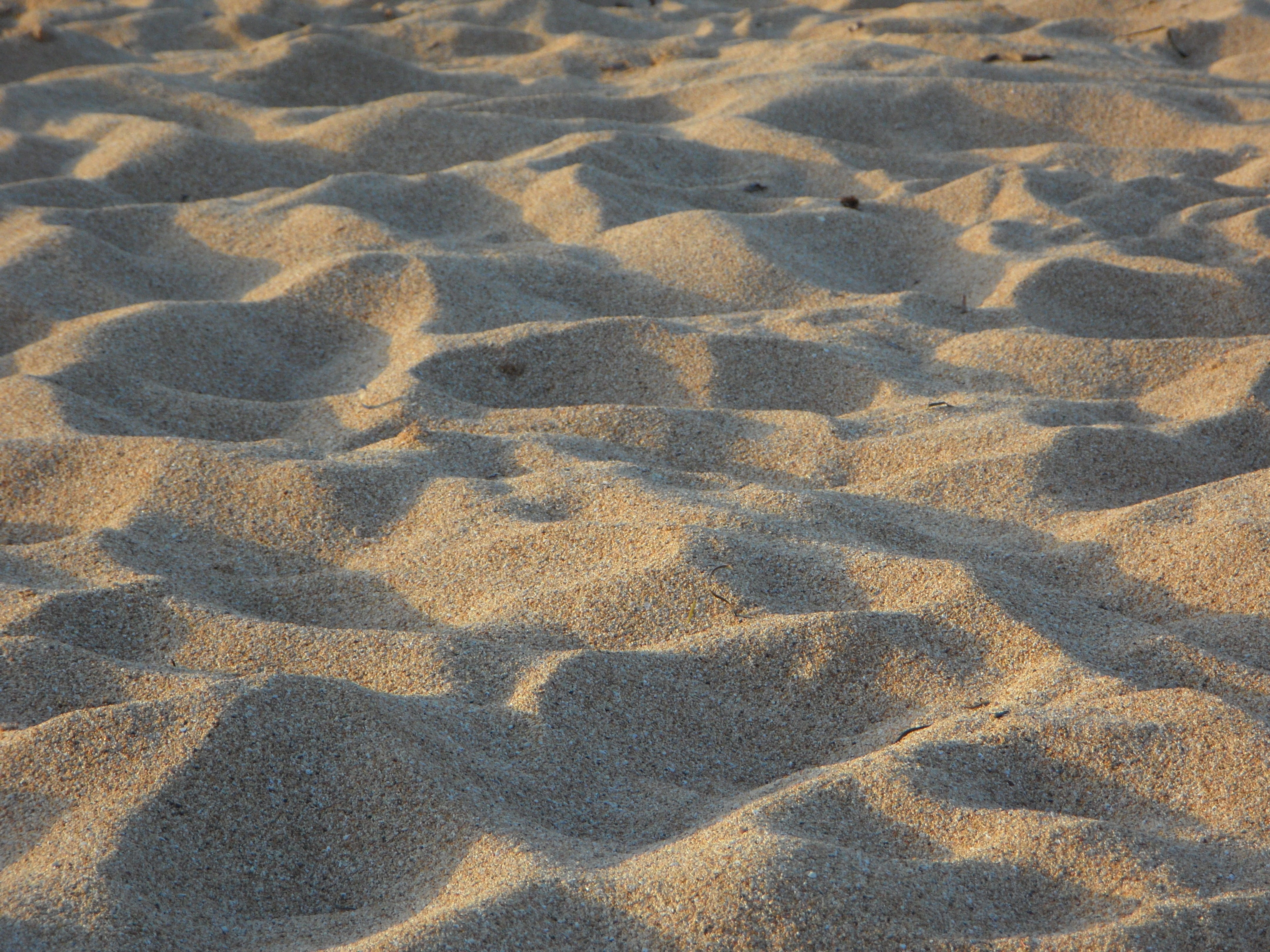 sand, beach, background, pattern, shadow, land, full frame