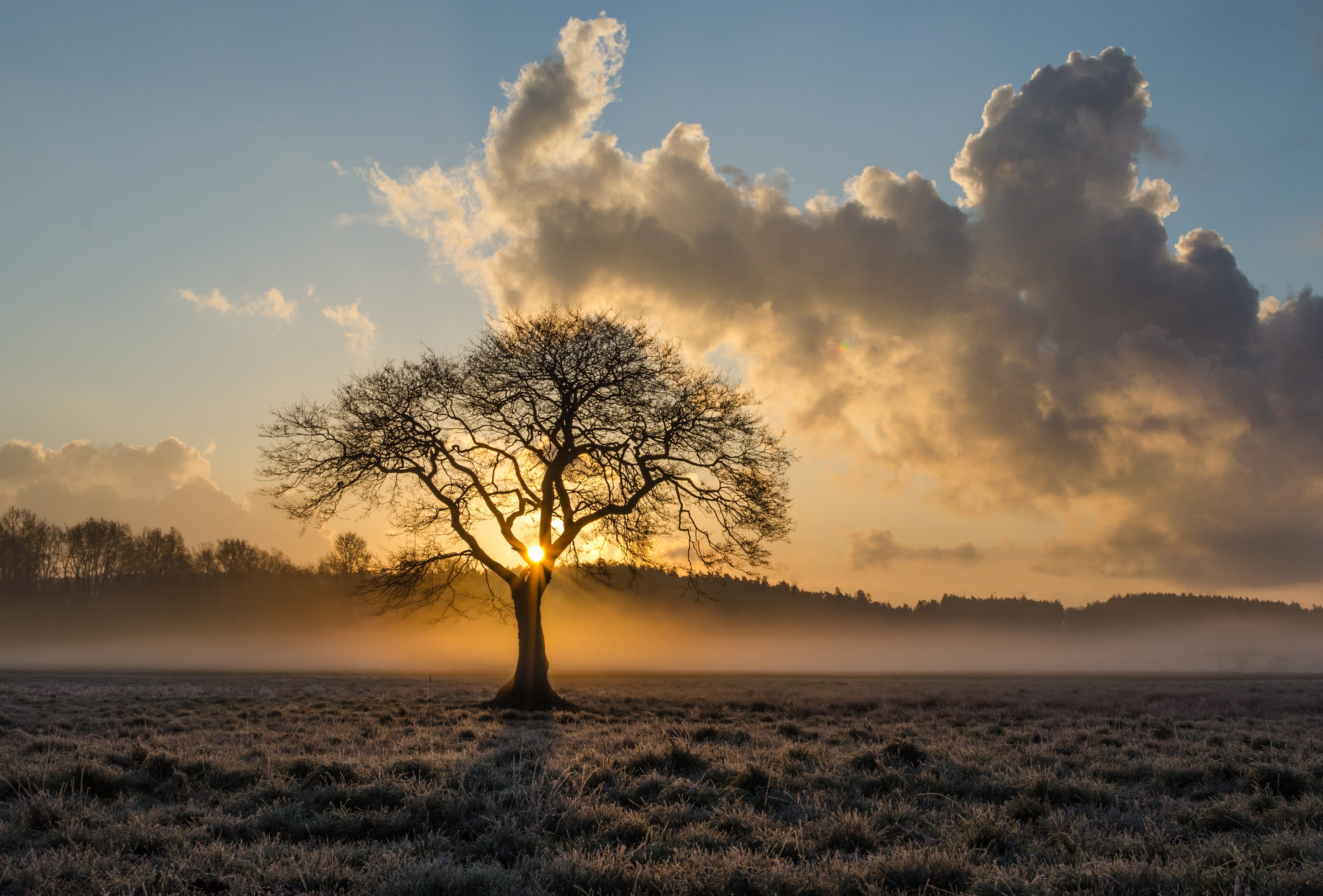 light, landscape, nature, sky, alone, clouds, daylight, dramatic