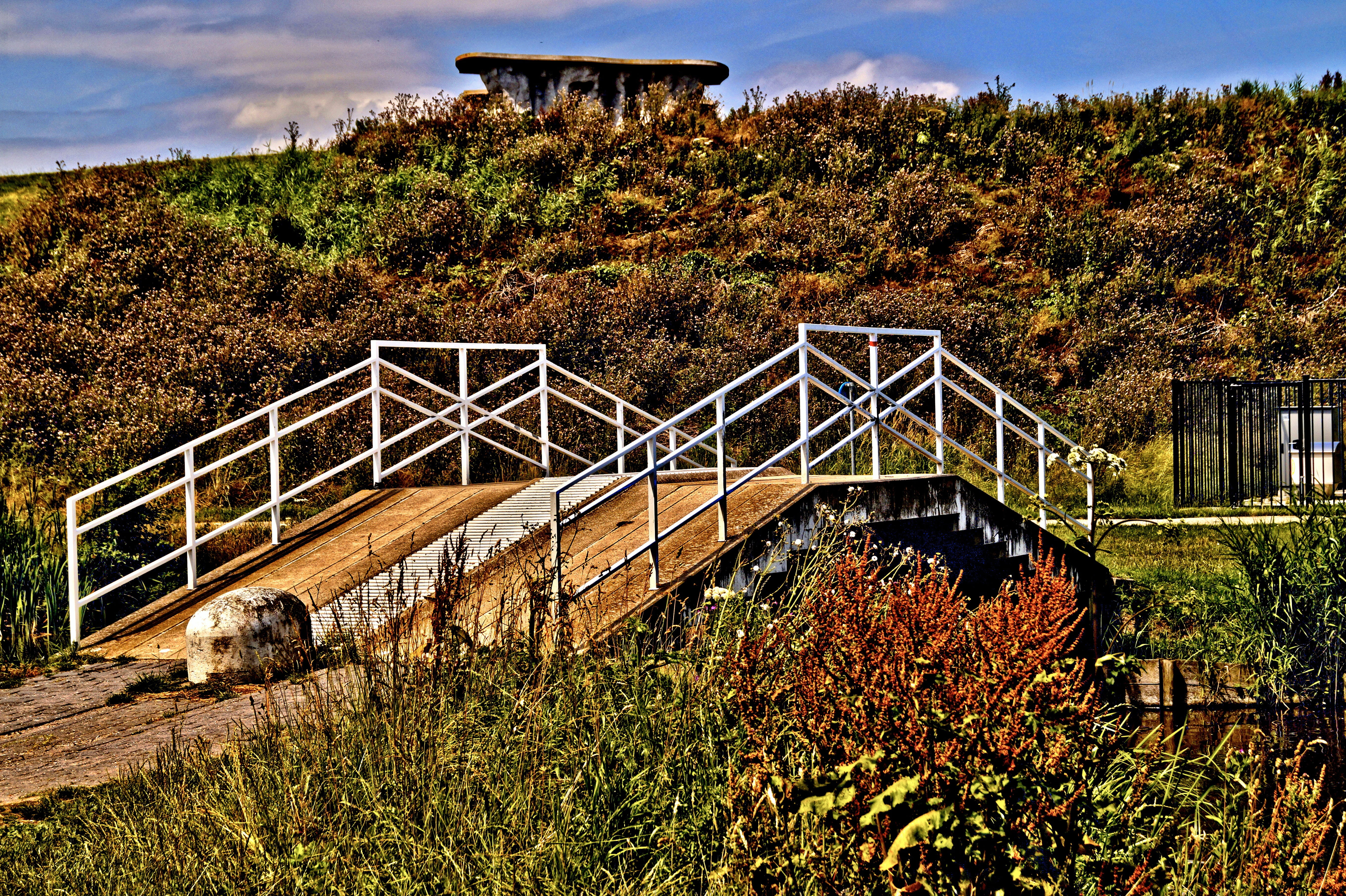 bridge, hdr, path, nature, architecture, built structure, plant