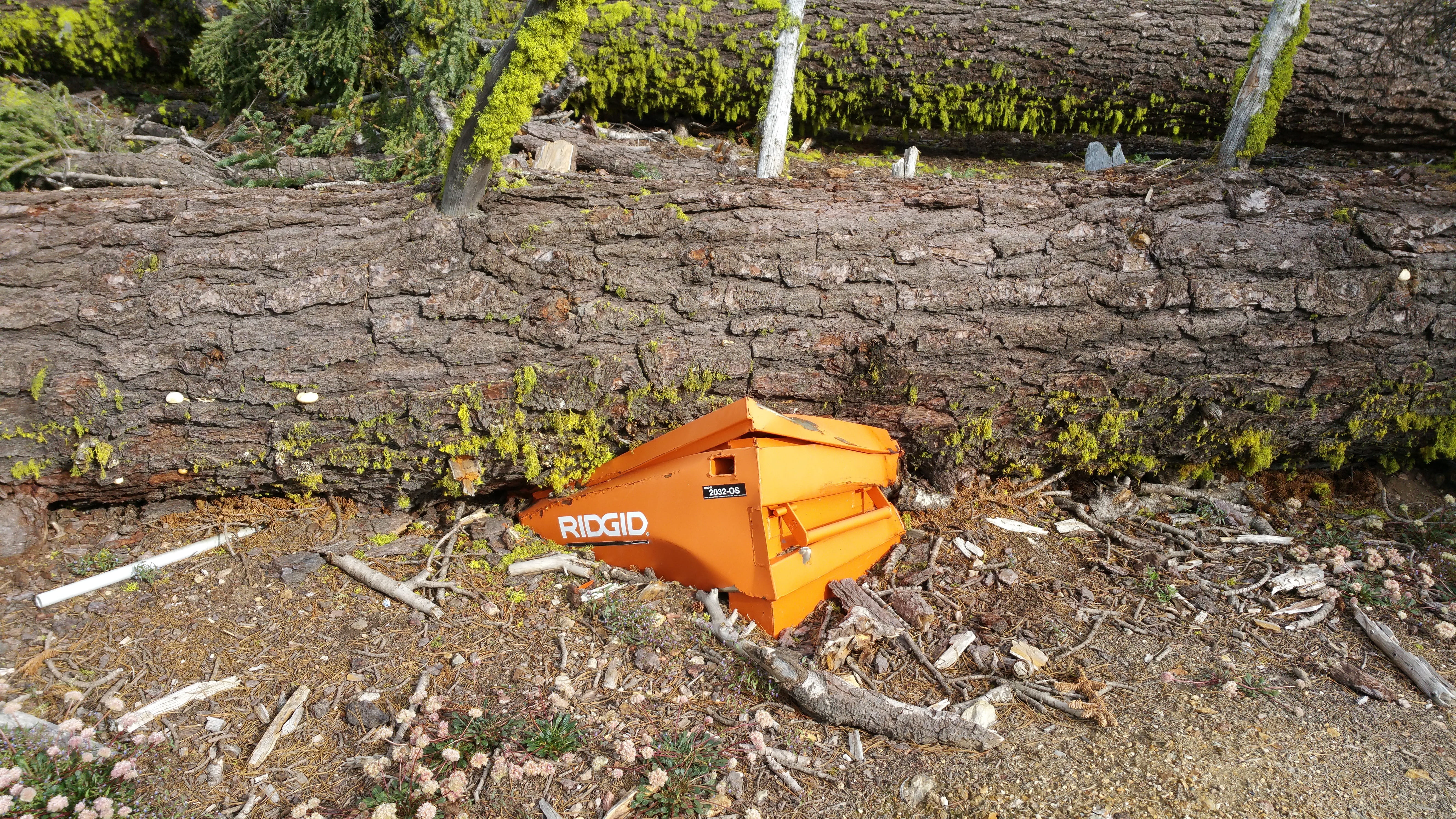 Smashed, Tree, Fall, Ironic, tree fall, tree smashed, beehive