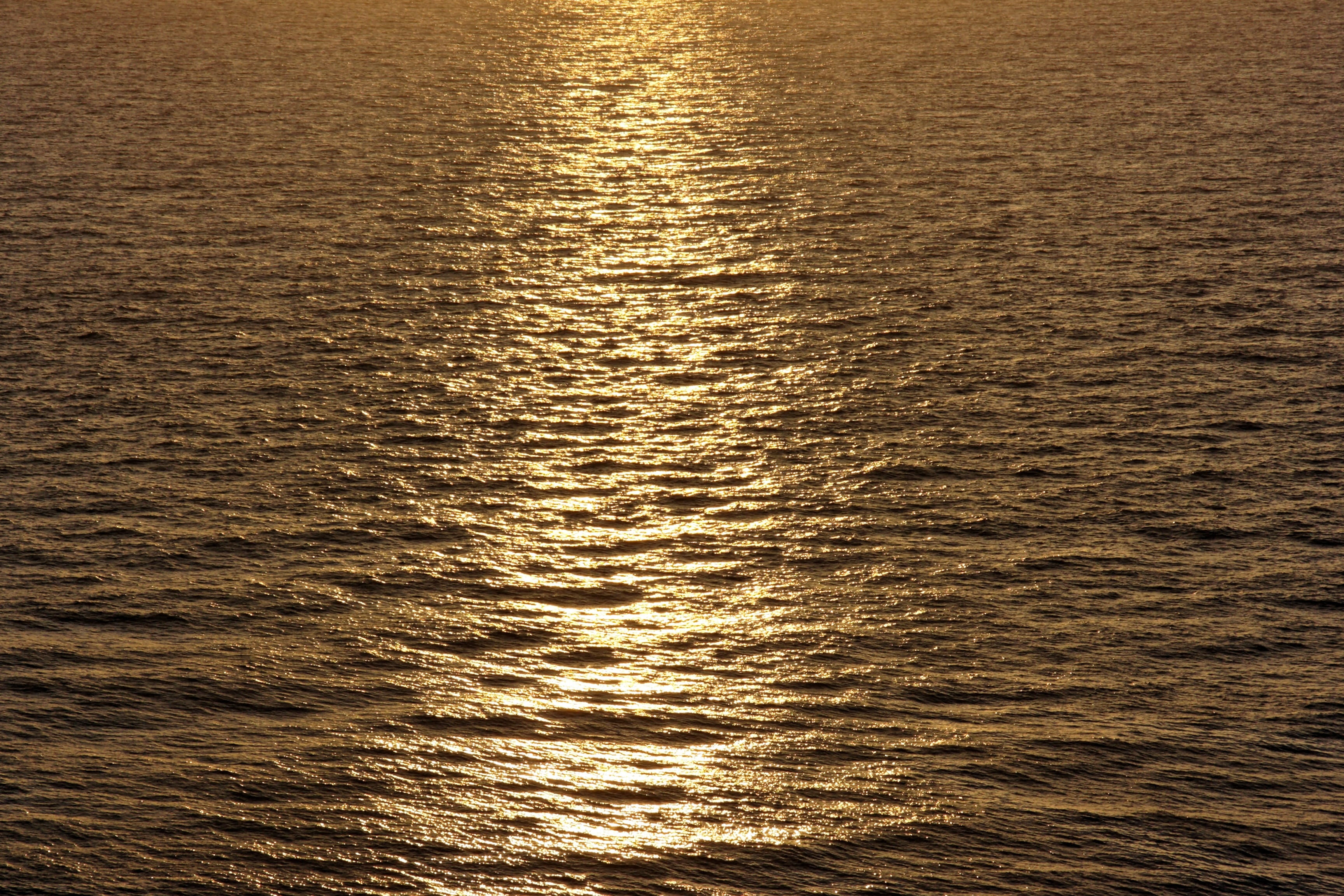 ocean, sunset, calm, water, reflection, tranquility, sunlight