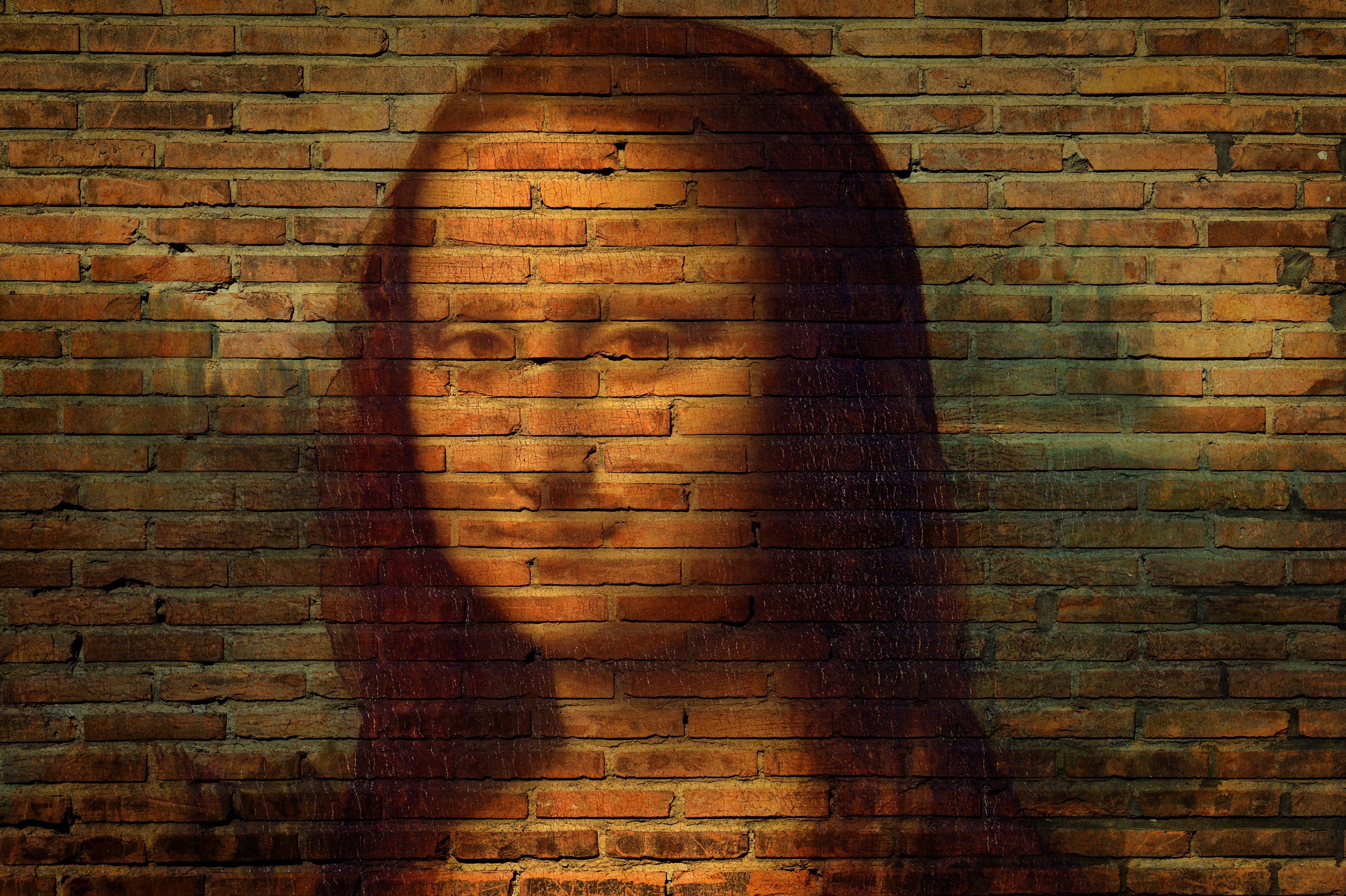 Monalisa painting on brick wall at daytime, mona lisa, portrait