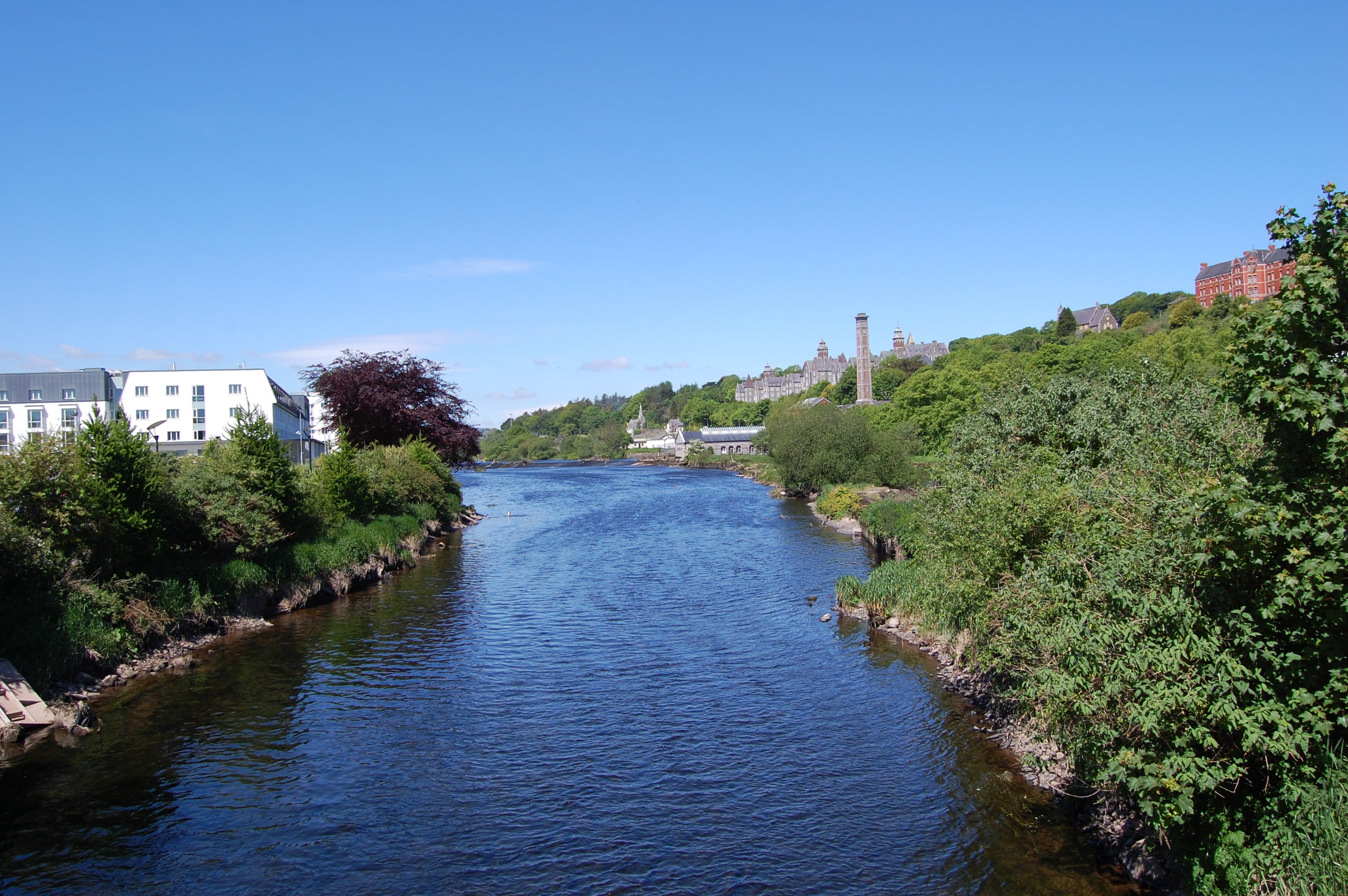 the lee fields, cork, ireland, river, architecture, tree, plant