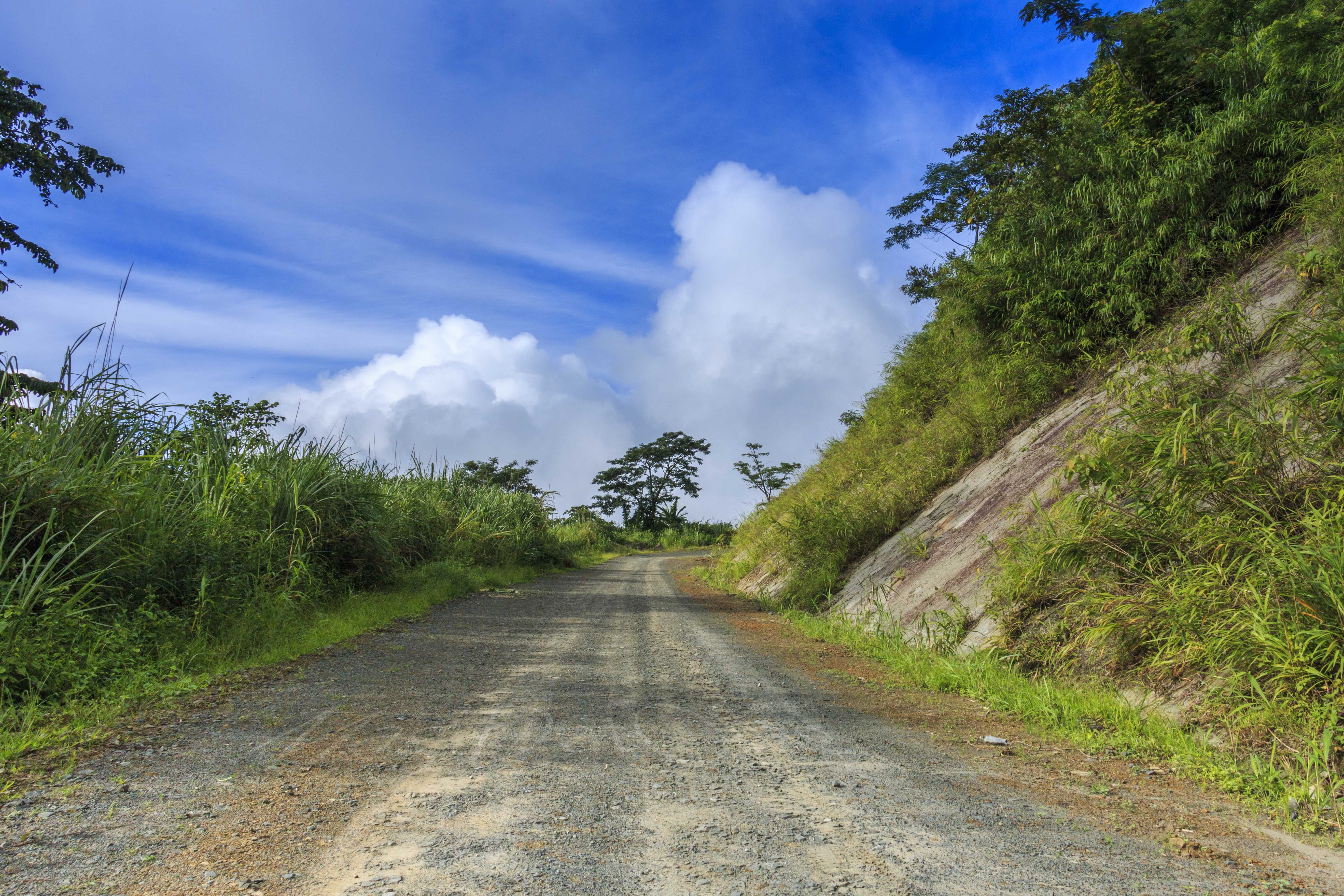 path, cloud, tree, landscape, environment, tourism, scene, plant
